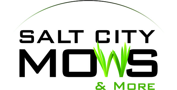 Salt City Mows and More