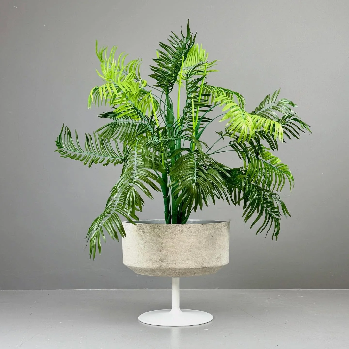 Dschungel Pflanzentopf

240 Chf
D50 H44

#studiovintagezurich #vintage #zurich #z&uuml;rich #z&uuml;ri #midcenturymodern #schweiz #swiss #switzerland #midcenturymodernfurniture #vintagefurniture #uetikonamsee #vintageshop #chemieuetikon #goldk&uuml;s