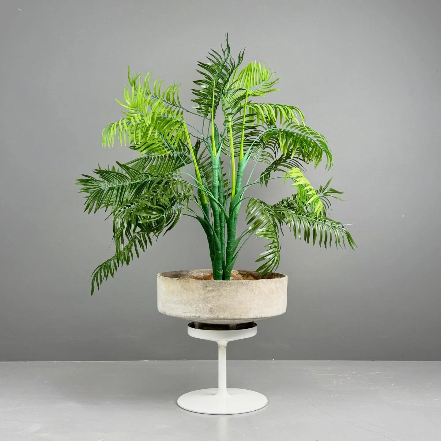 Dschungel Pflanzentopf mit Drainage

320 Chf

#pflanzentopf #drainage #pflanzenliebe #dschungel #houseofplantlovers