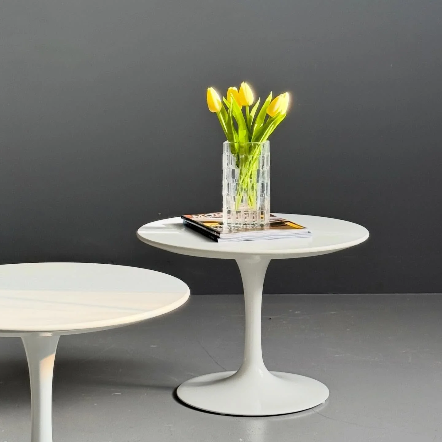 Tulip Salontische

250 Chf / Stk.
D51 H37
(kein Knoll)

#tuliptable #salontisch #beistelltisch #sidetables #whitetable