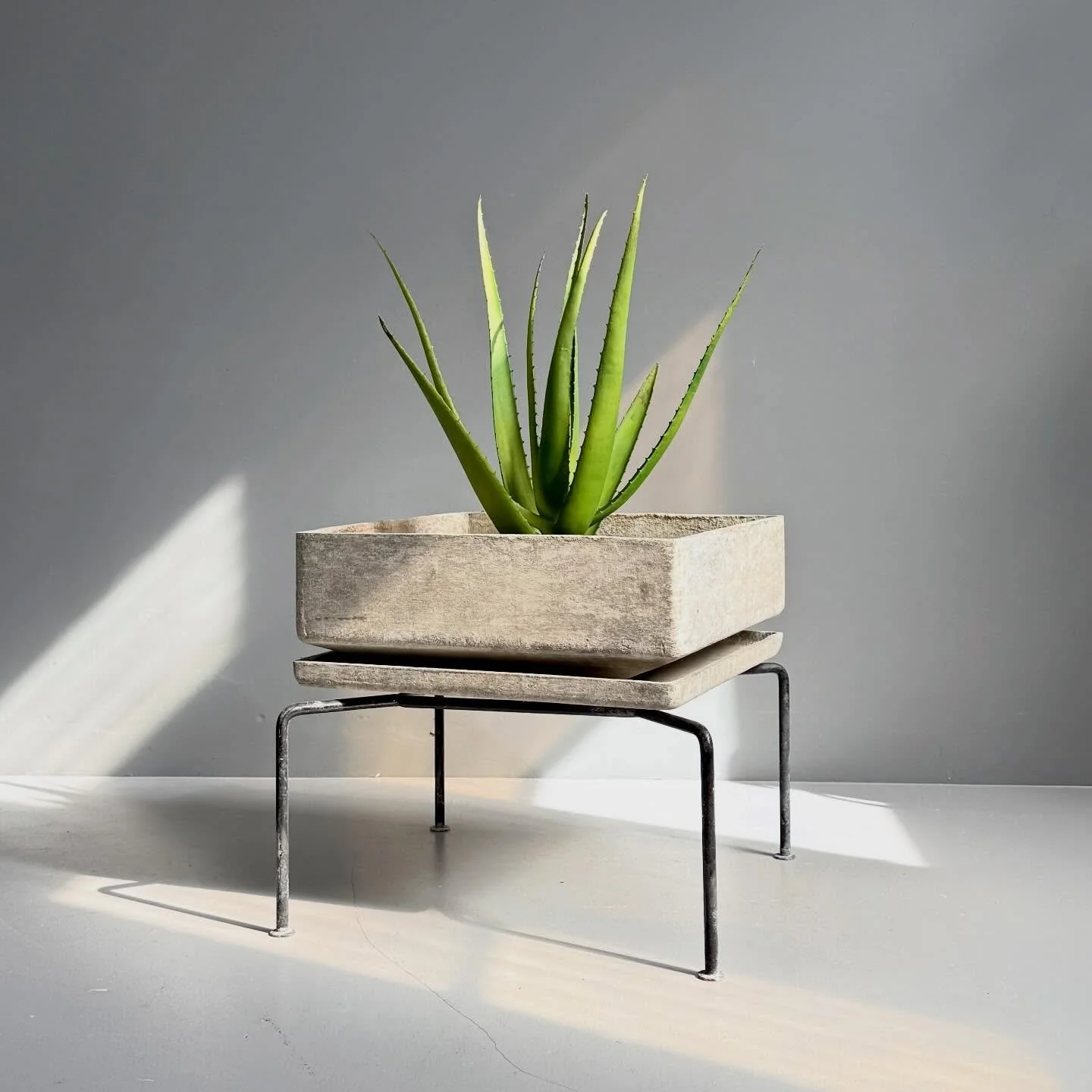 Pflanzengef&auml;ss von Bruno Rey

550 Chf 
B 48x48 H46

#brunorey #eternit #pflanzengef&auml;sse #flowerpots #planter