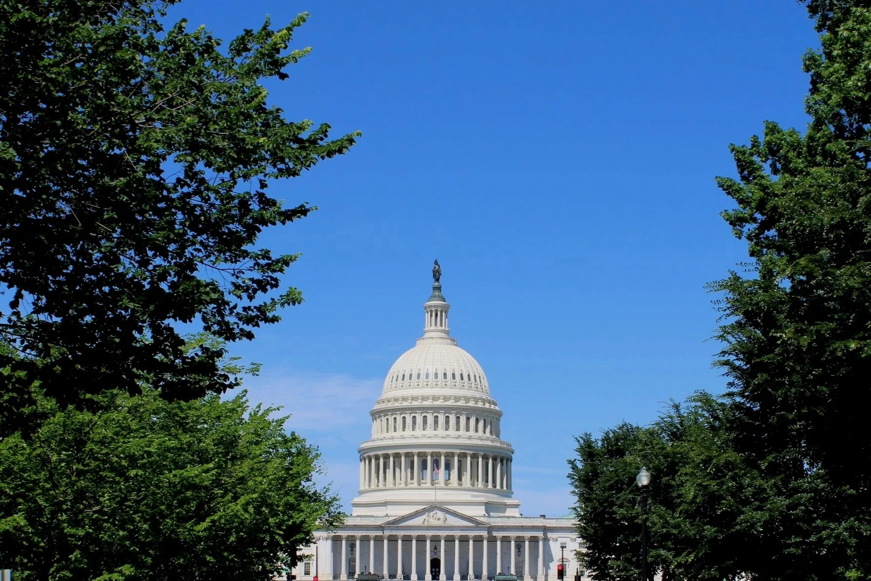 Center for the Study of the Presidency and Congress