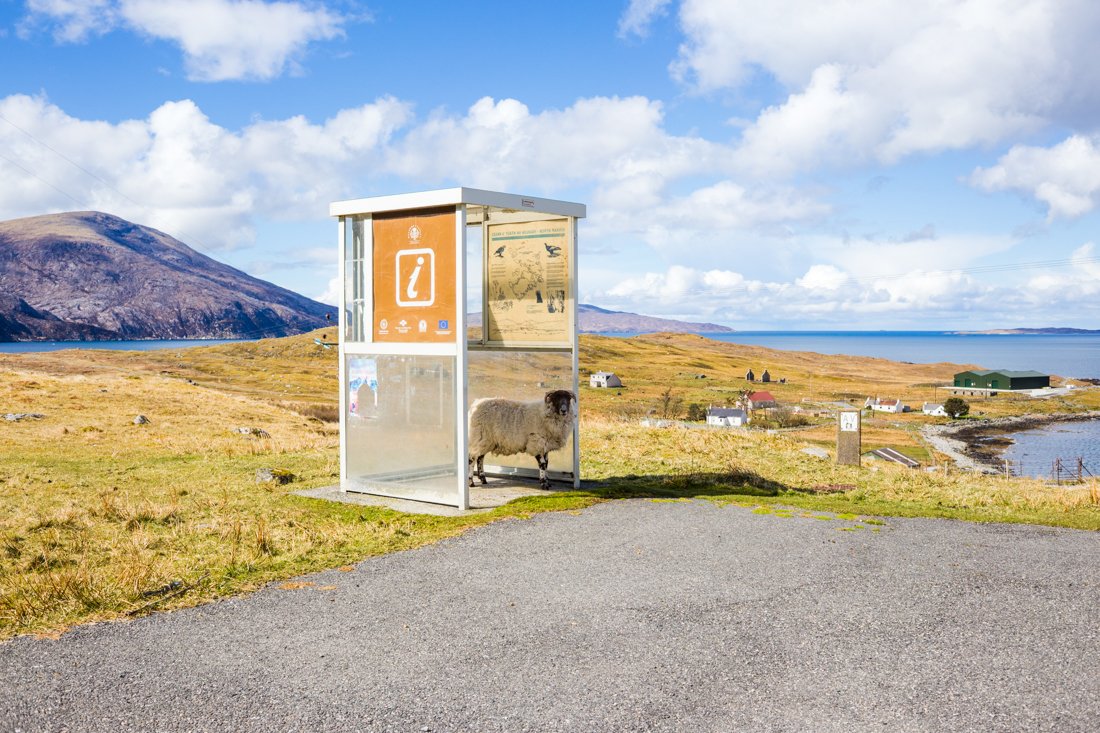 Print - Isle of Harris - Scotland