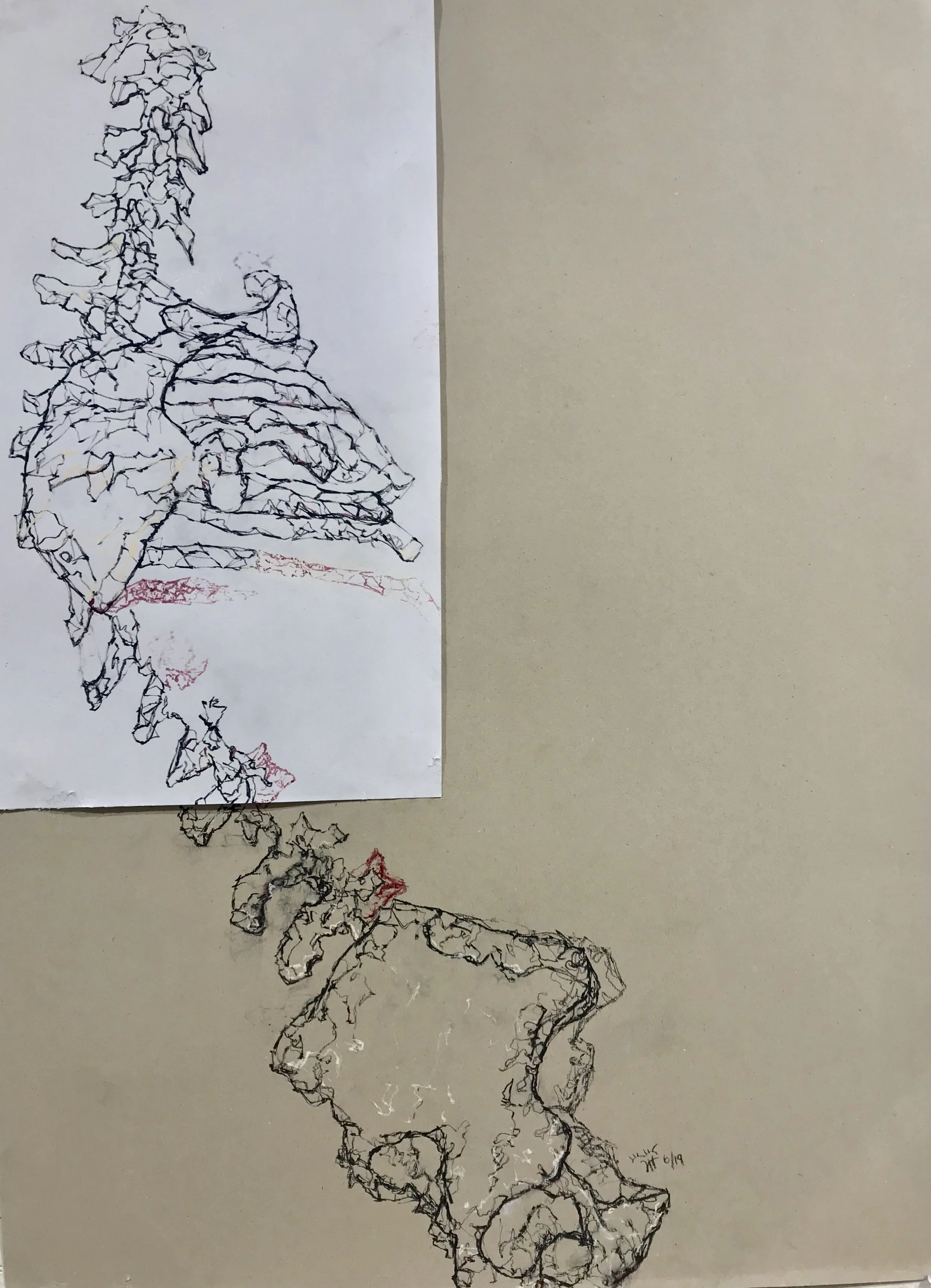 Charcoal, Pastel, String on Newsprint and Cardboard