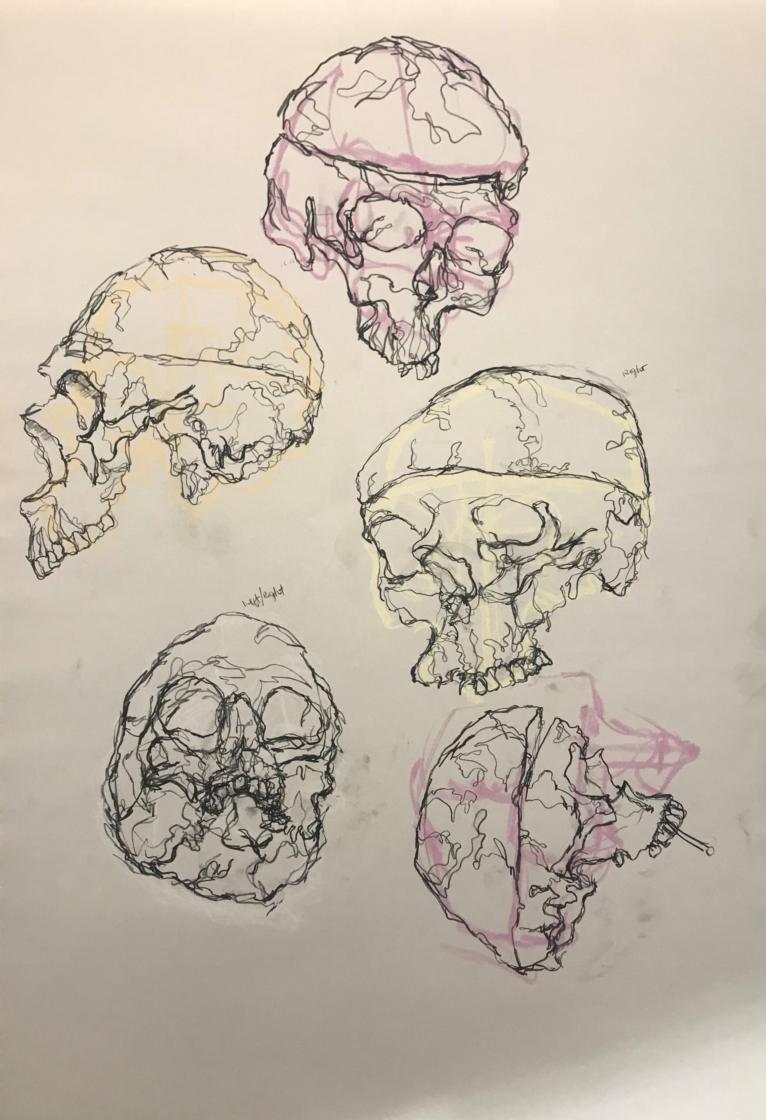 Charcoal, Pastel, String on Newsprint 