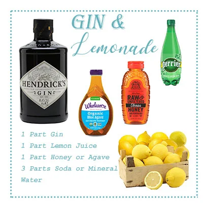 Gin & Lemonade Cocktail