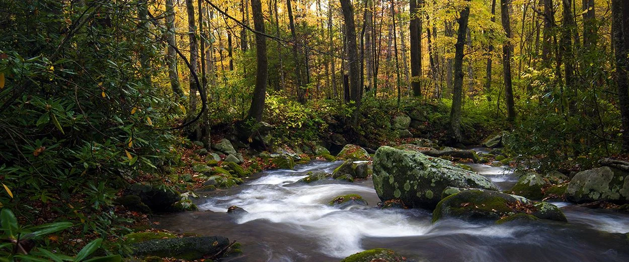 Waterscapes.jpg