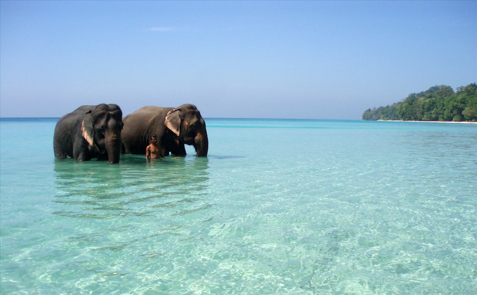 Andamans-Tour-Package.jpg