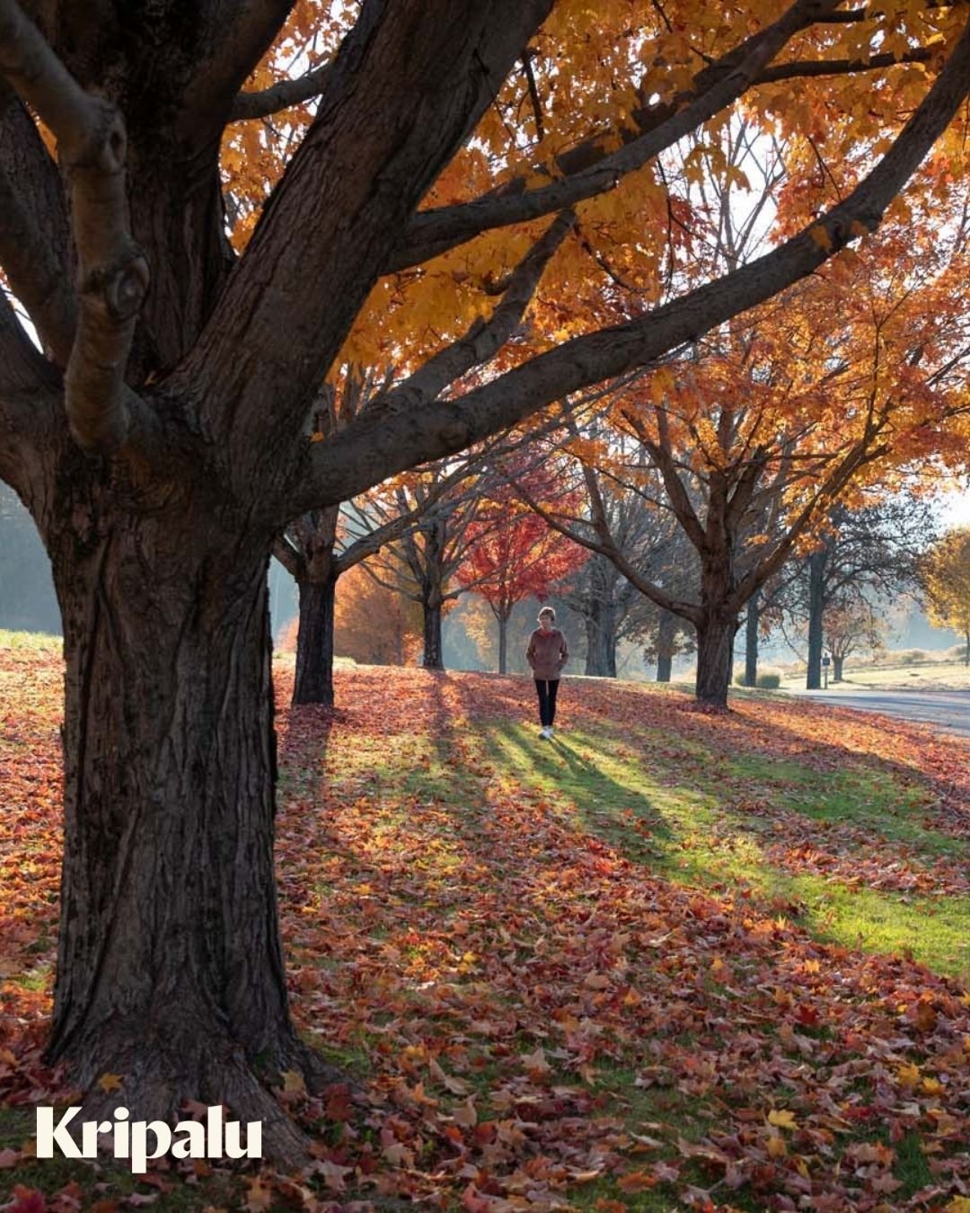 2025 Kripalu Marketing Kit Asset 1080x1350 (6).jpg