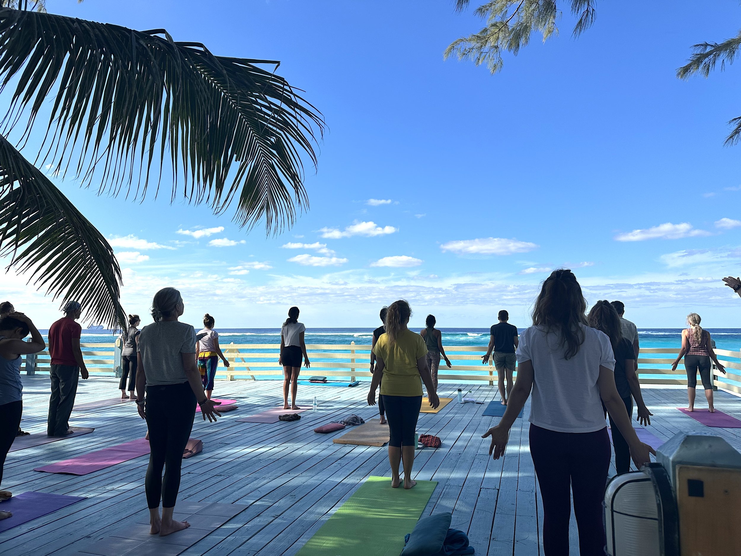 Ayurveda Can Help You Write Your Story: Sivananda Ashram Bahamas