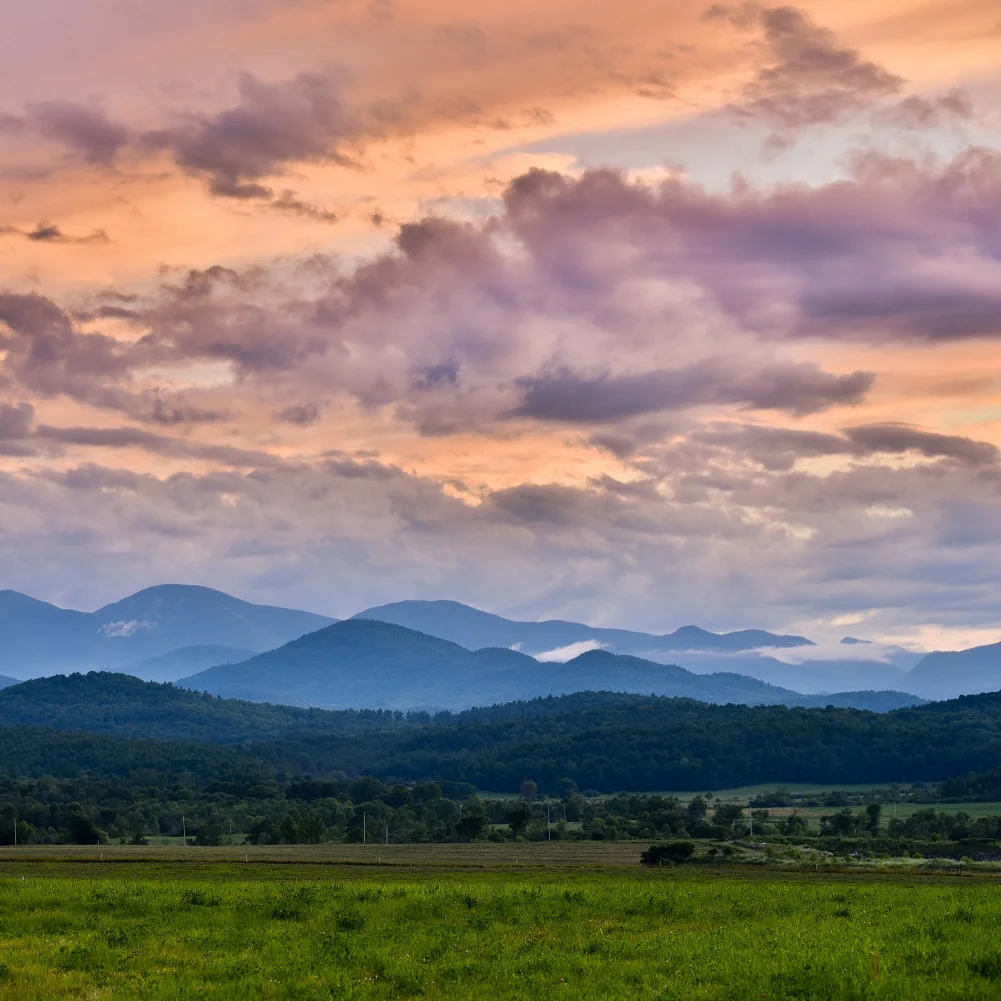 Landscape_Essex-3965.jpg