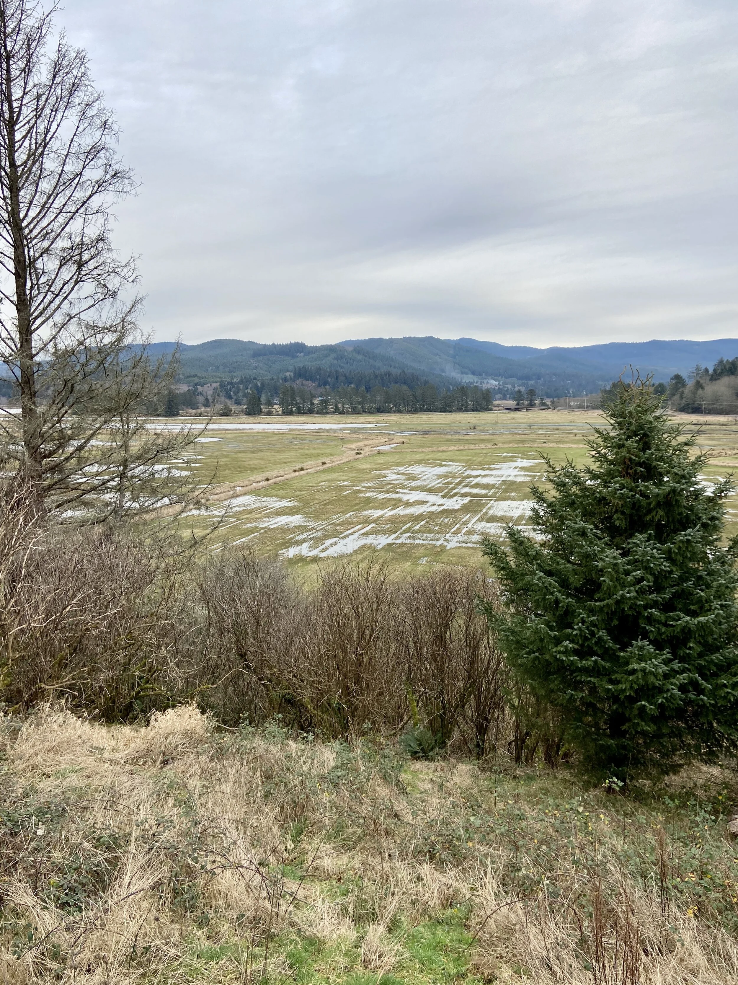 Nestucca Bay National Wildlife Refuge