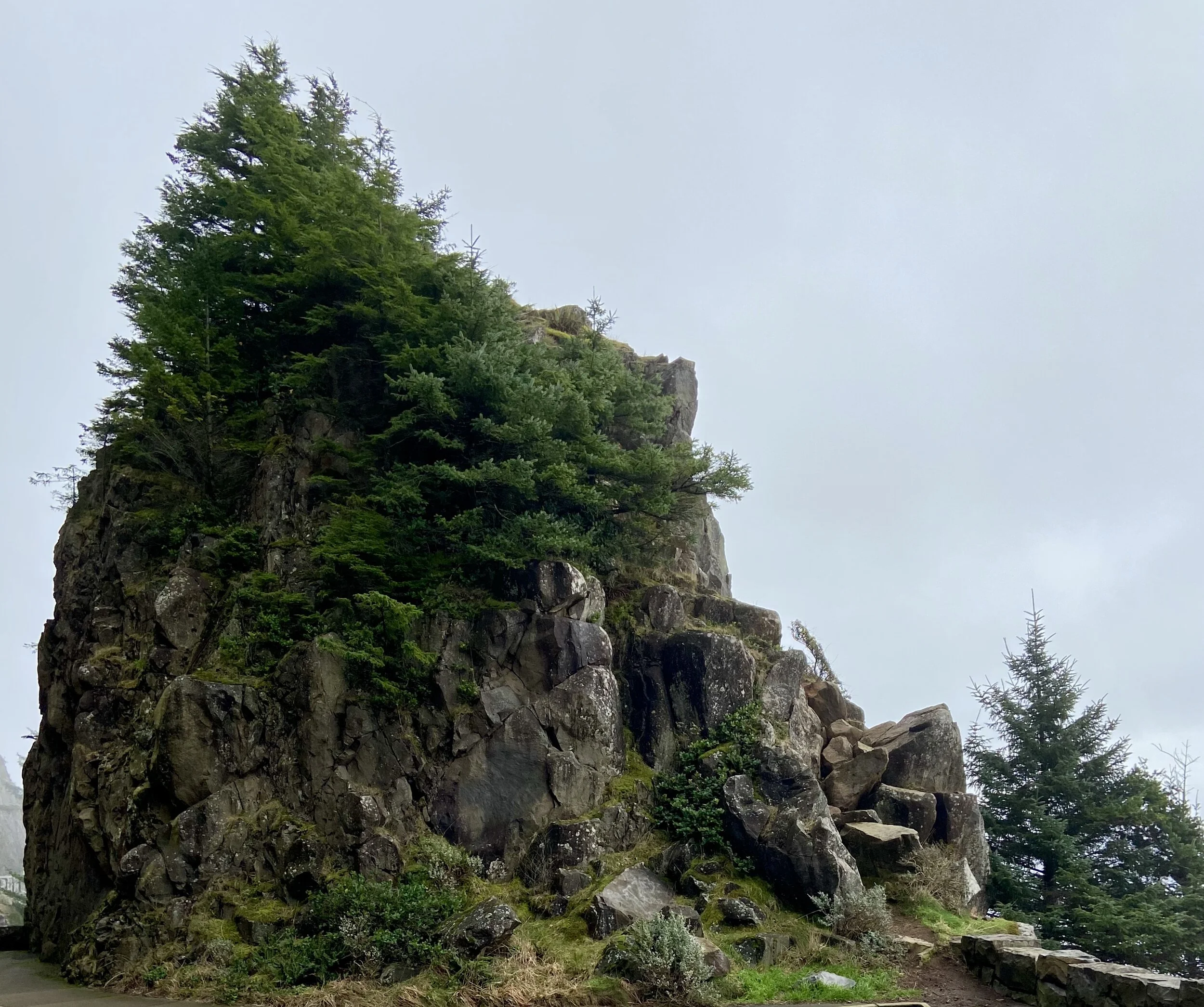 Oswald West State Park