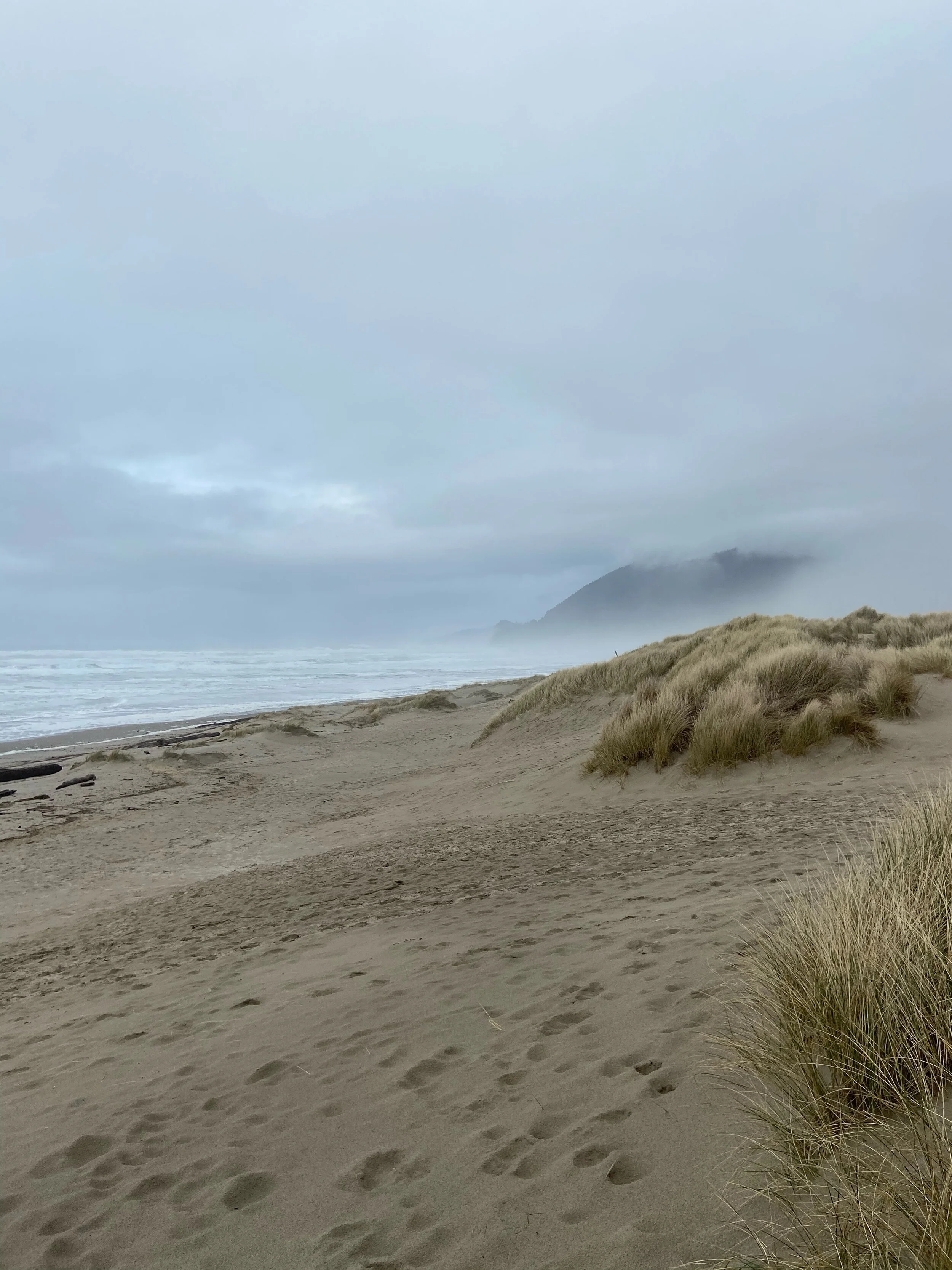 Nehalem Bay State Park