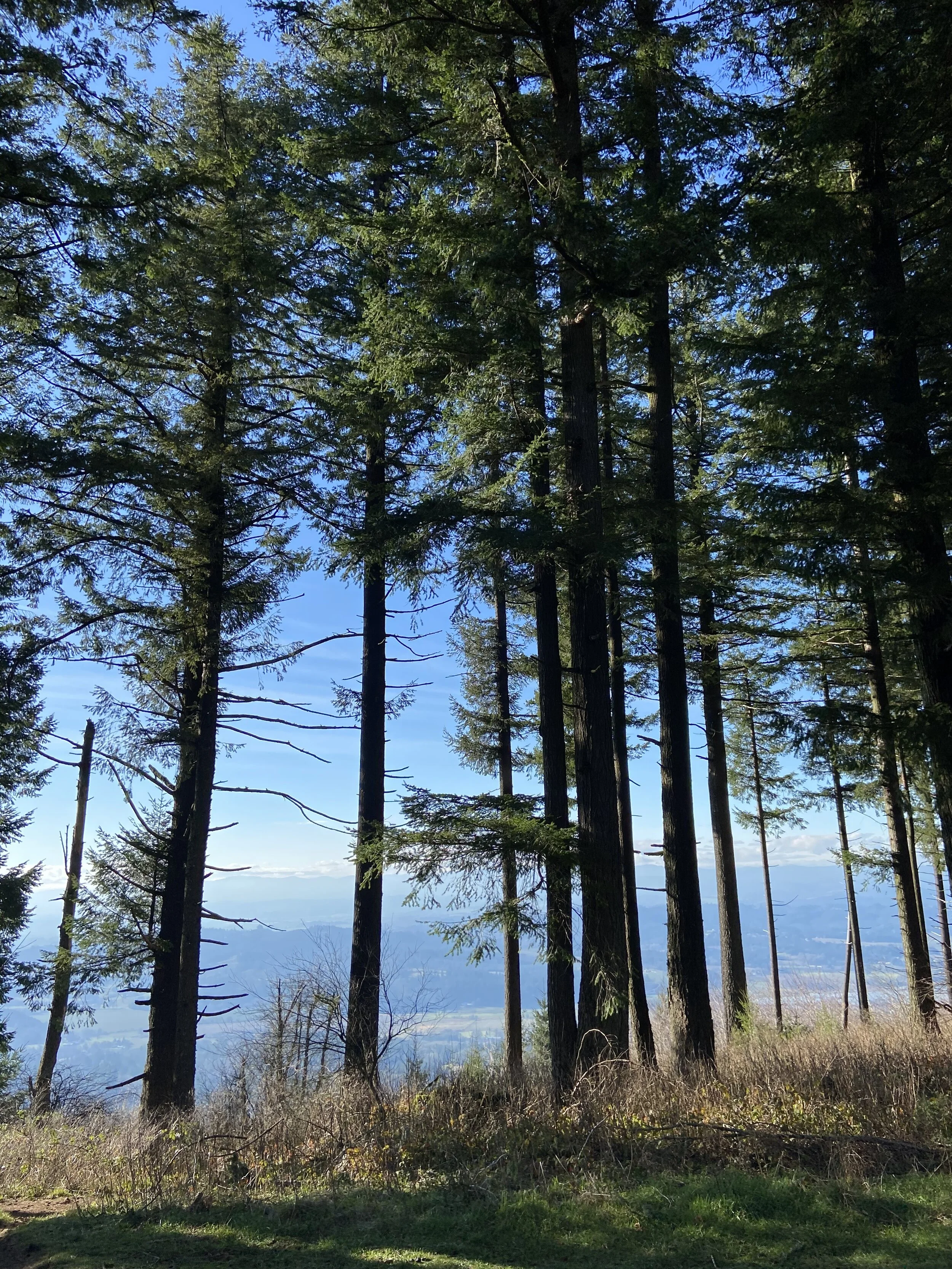 Bald Peak State Park