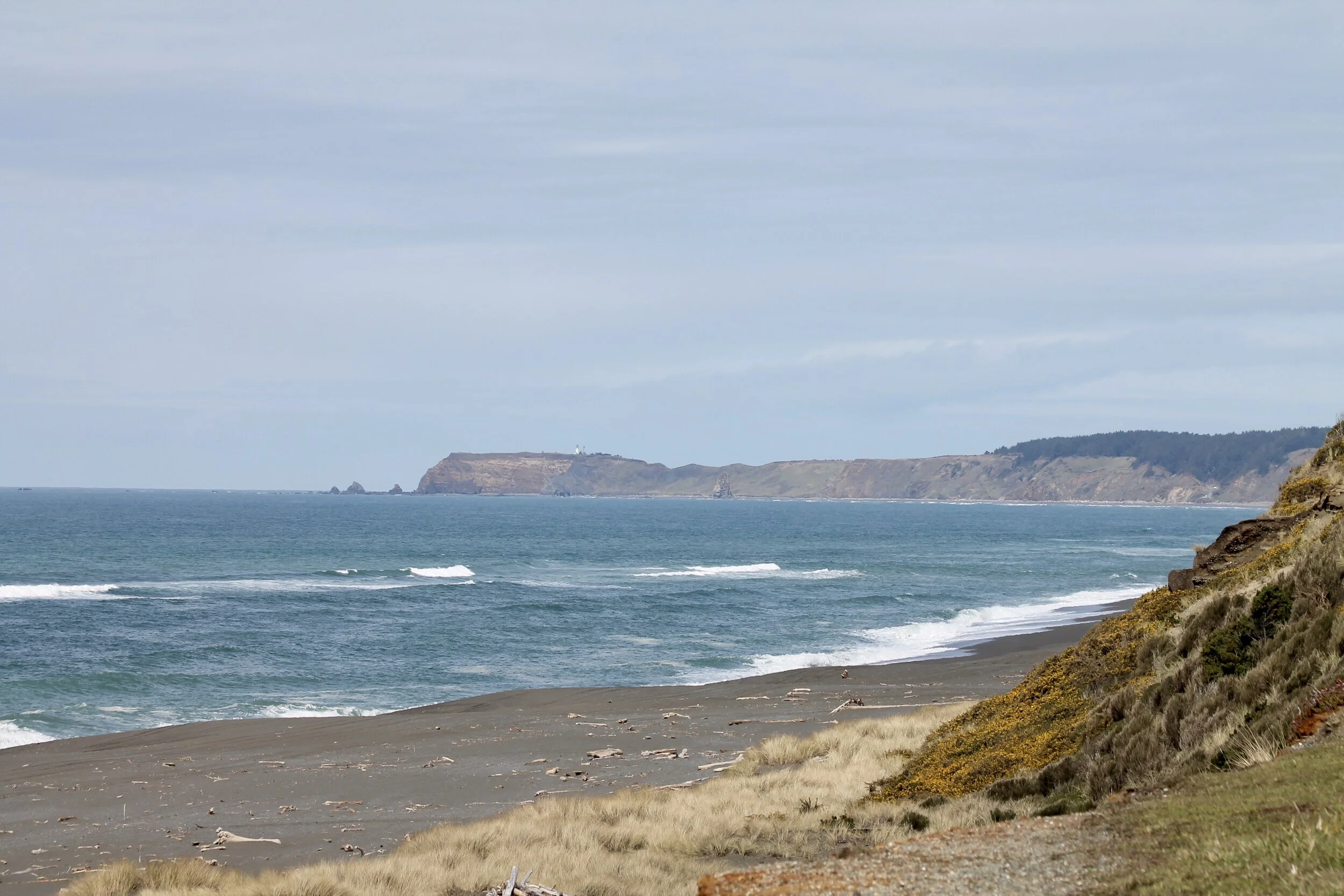 Paradise Point State Recreation Site