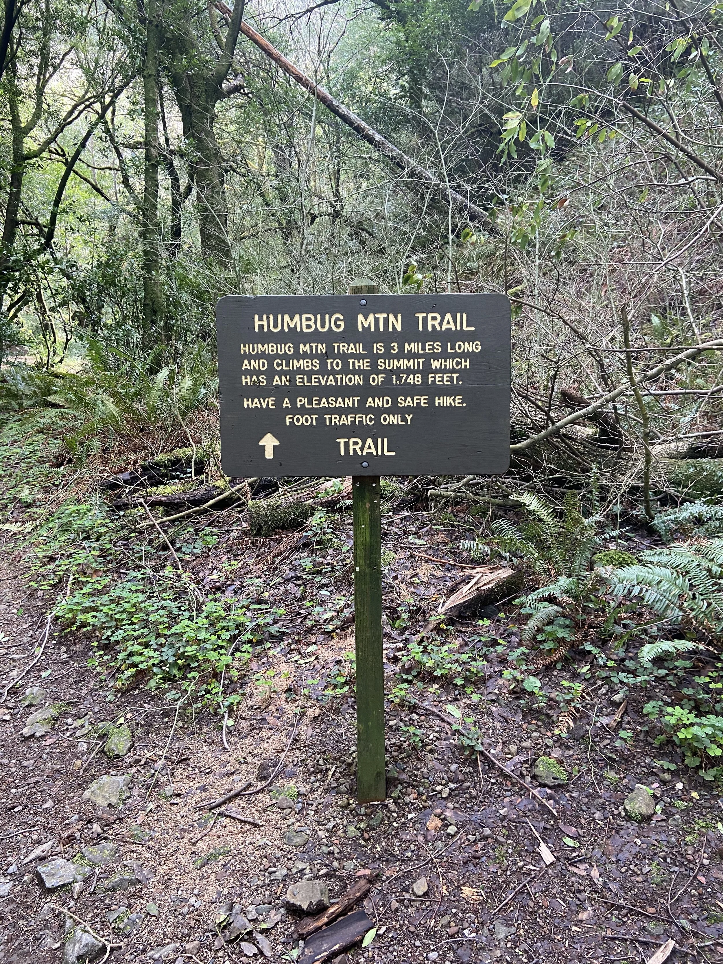 Humbug Mountain State Park