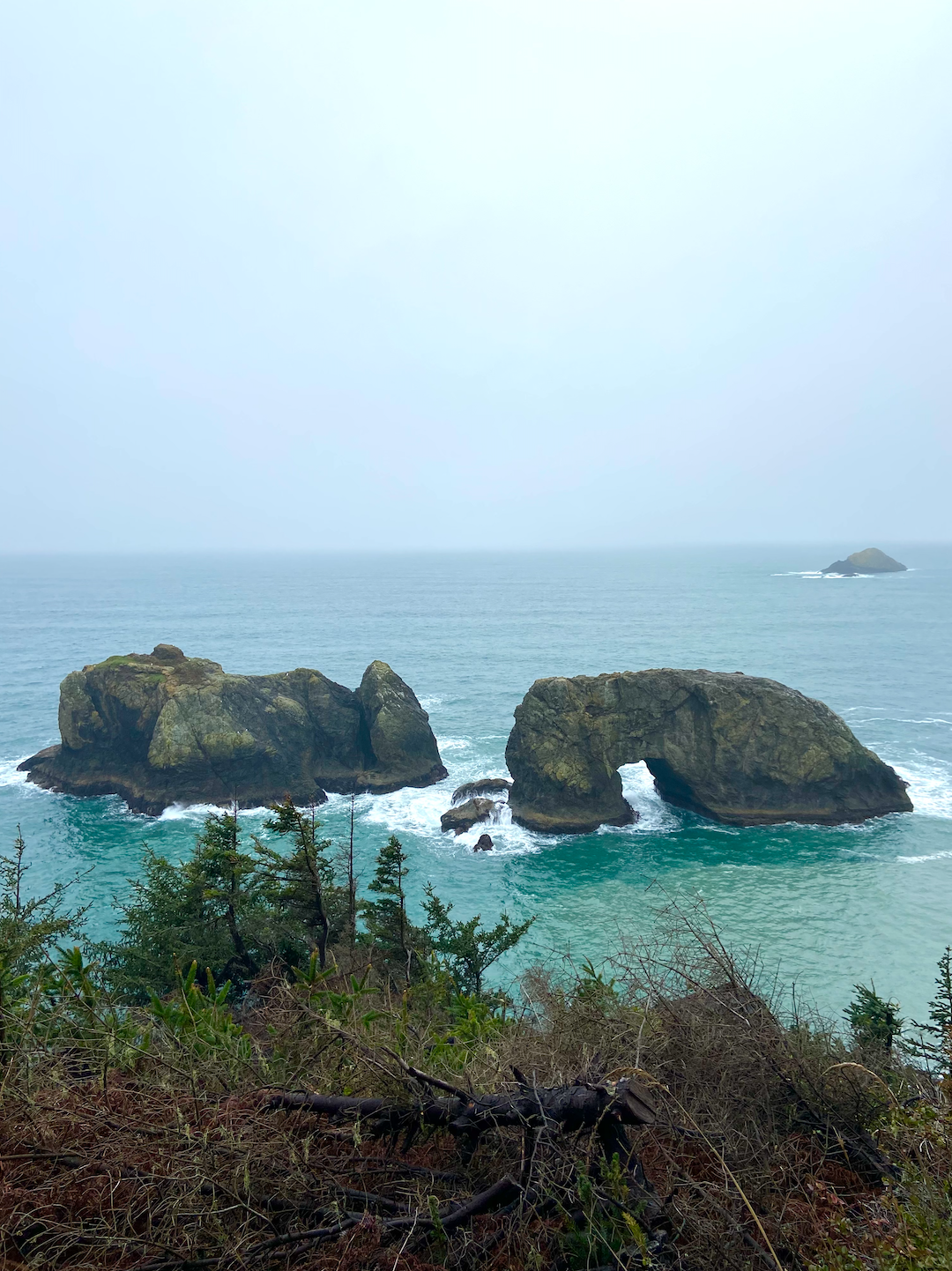 Samuel H. Boardman State Scenic Corridor