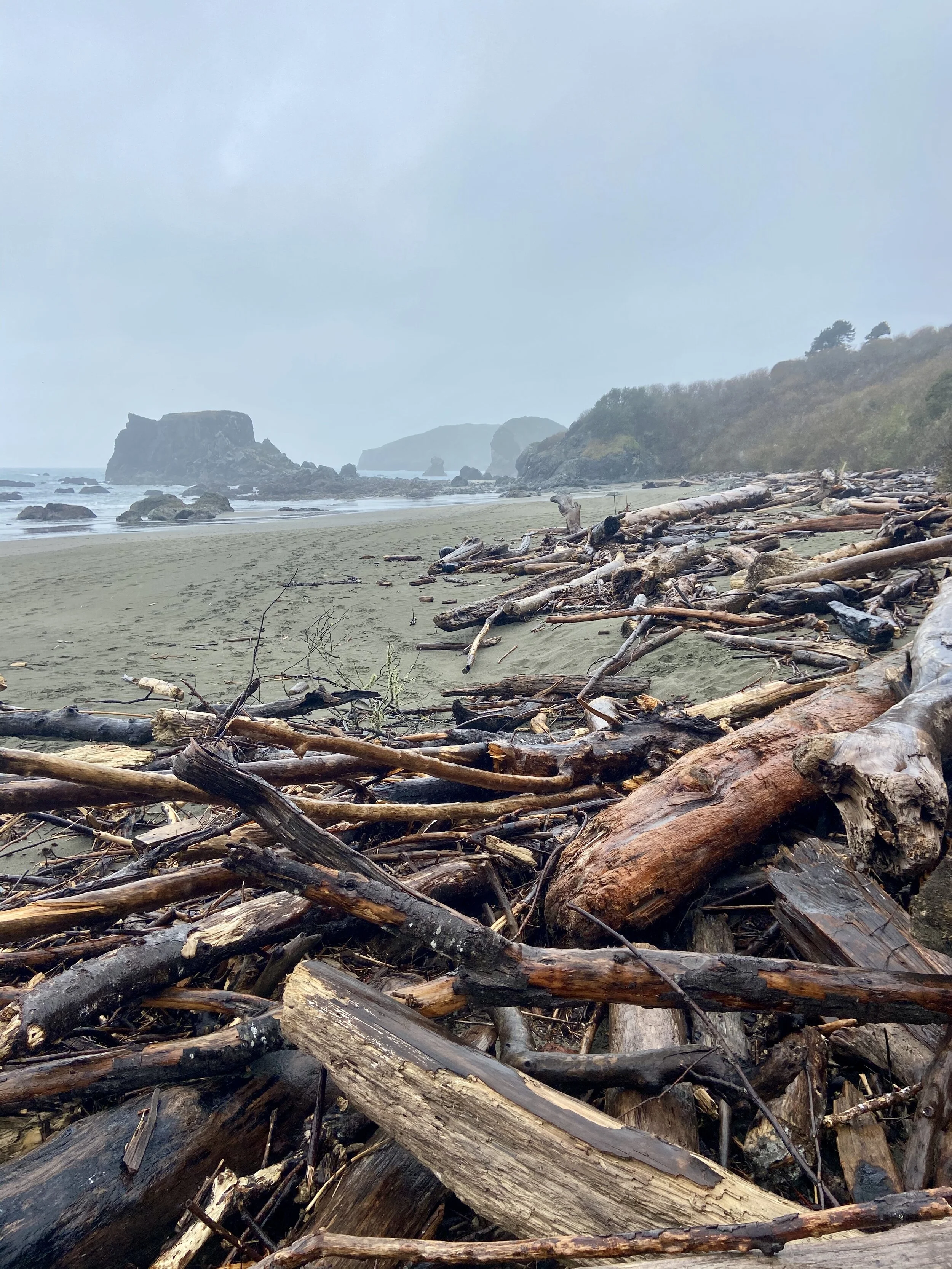 Harris Beach State Park