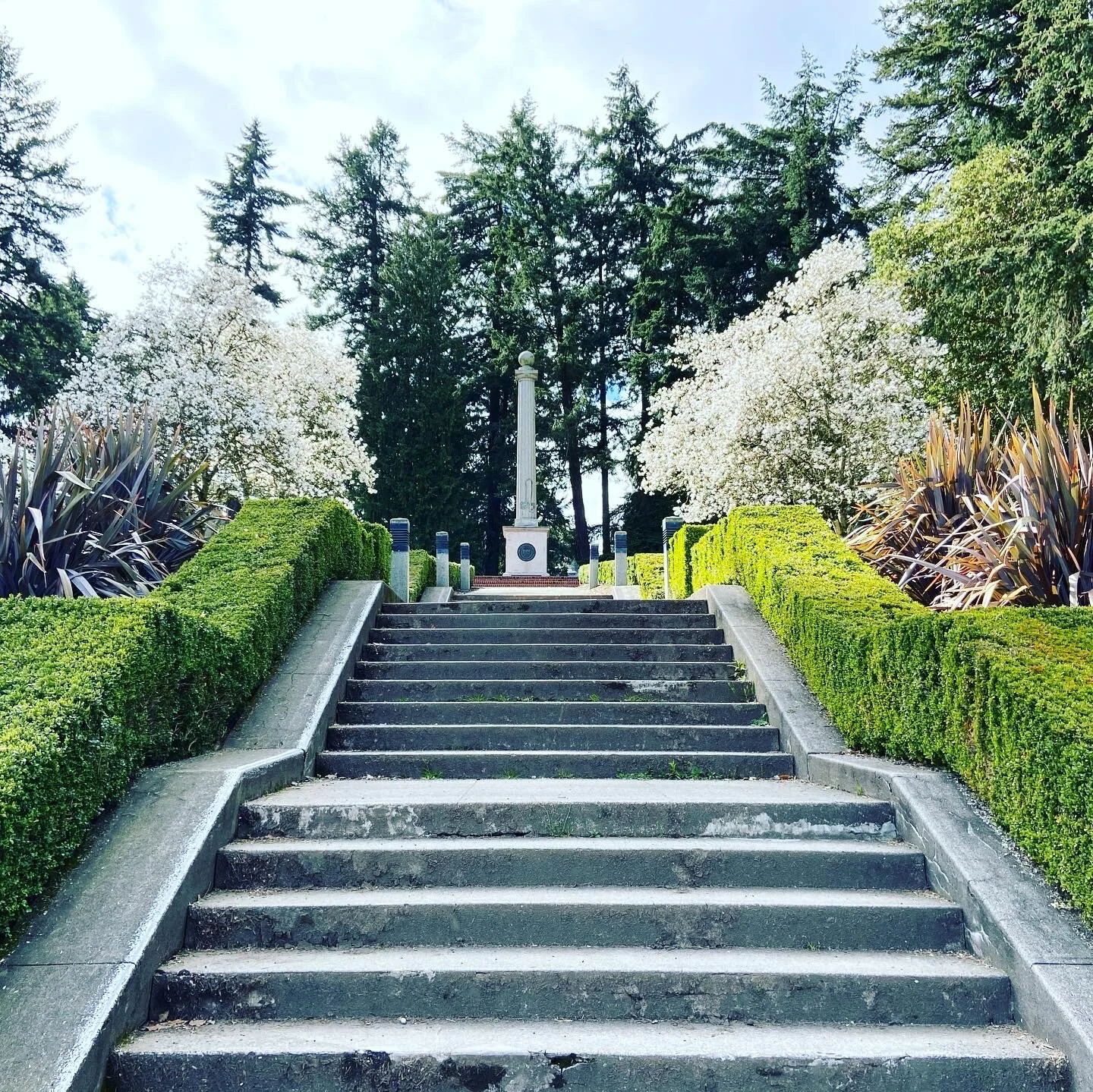 Chasing Cherry Blossoms, Part II