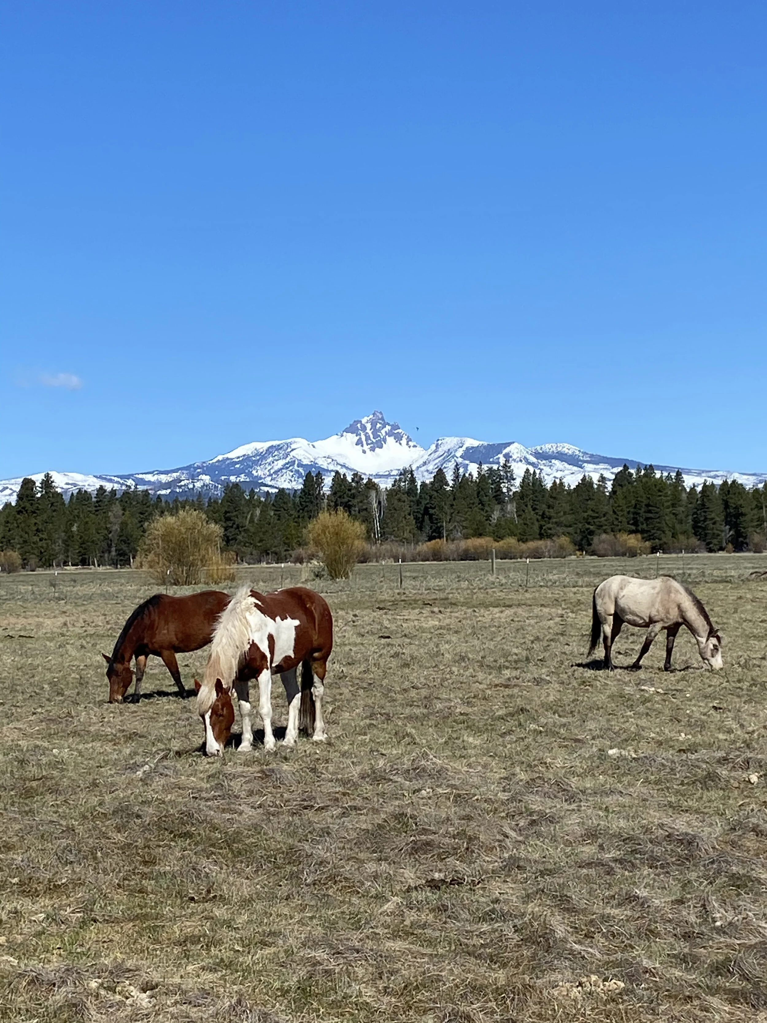 Black Butte Ranch April 2021