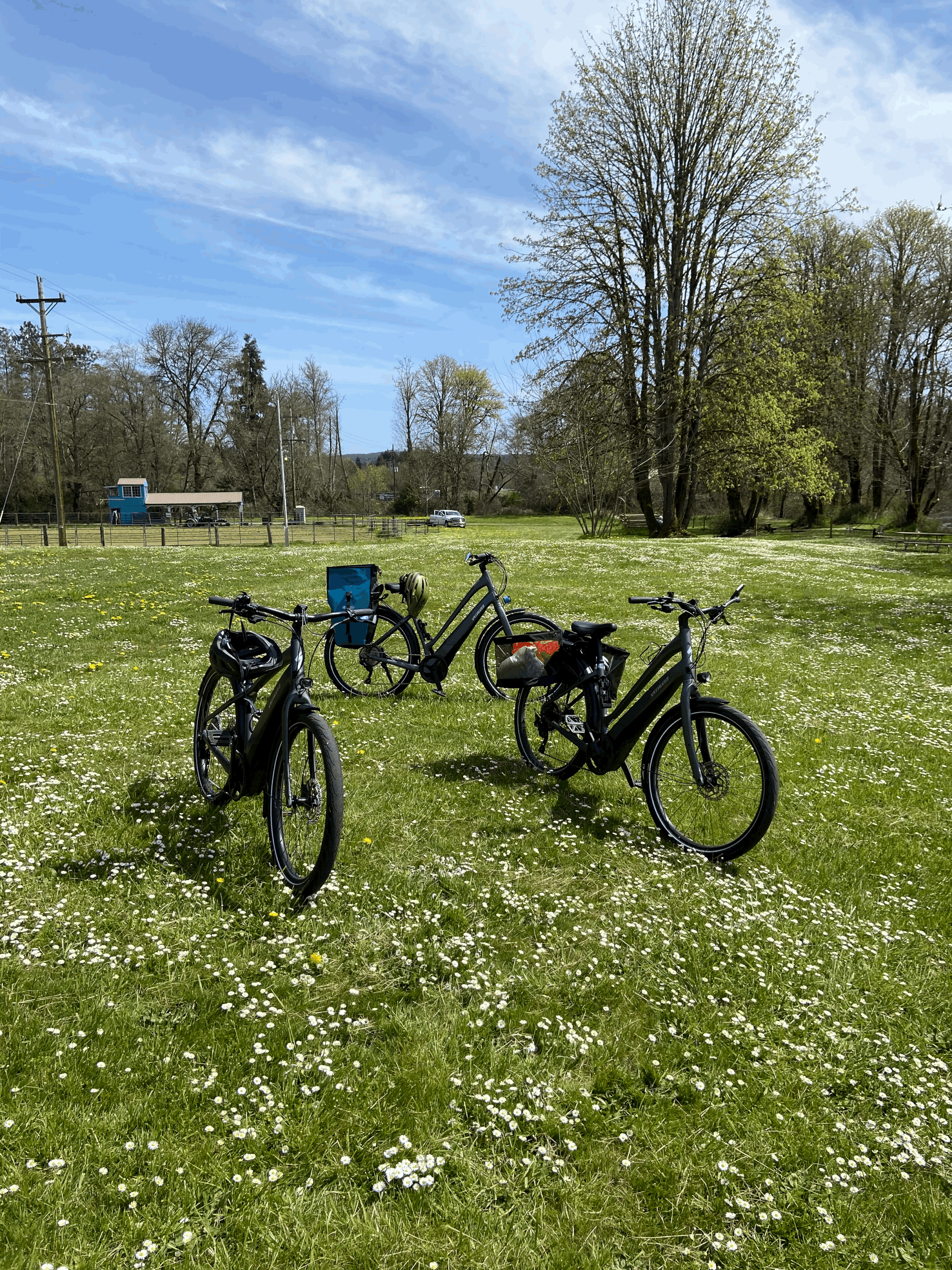 Whatever it is, the way you tell your story online can make all the difference.