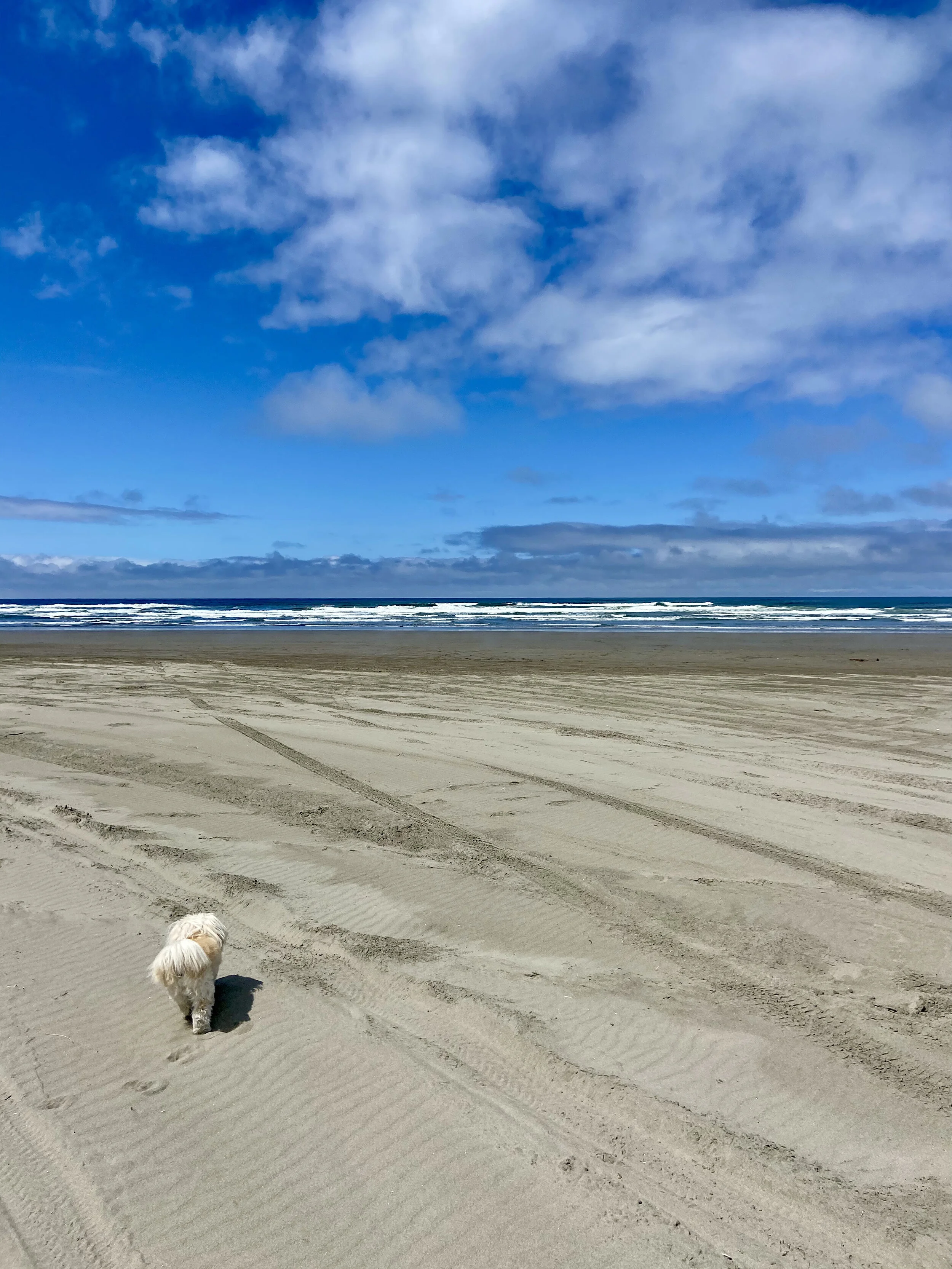 Del Rey Beach State Recreation Site
