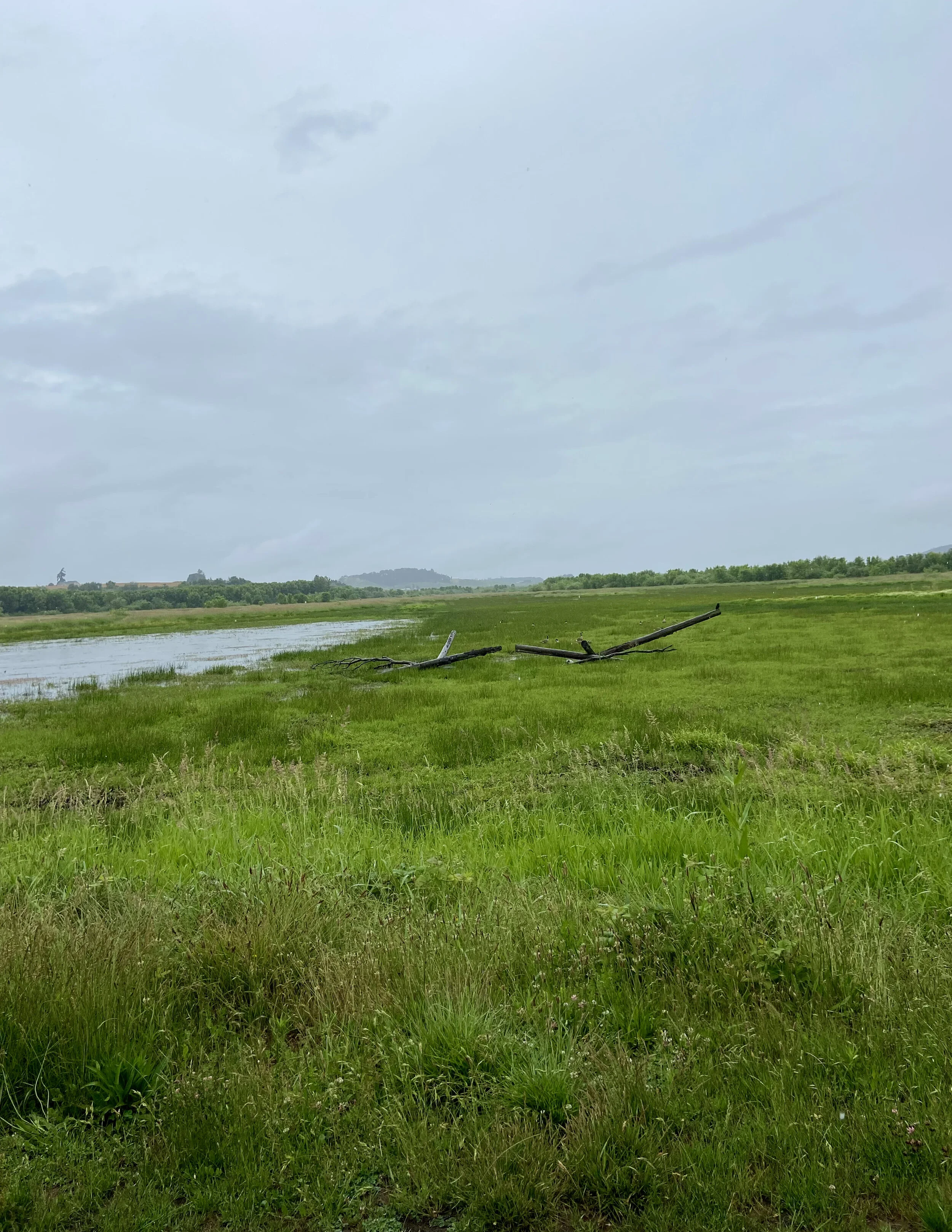 Baskett Slough National Wildlife Refuge