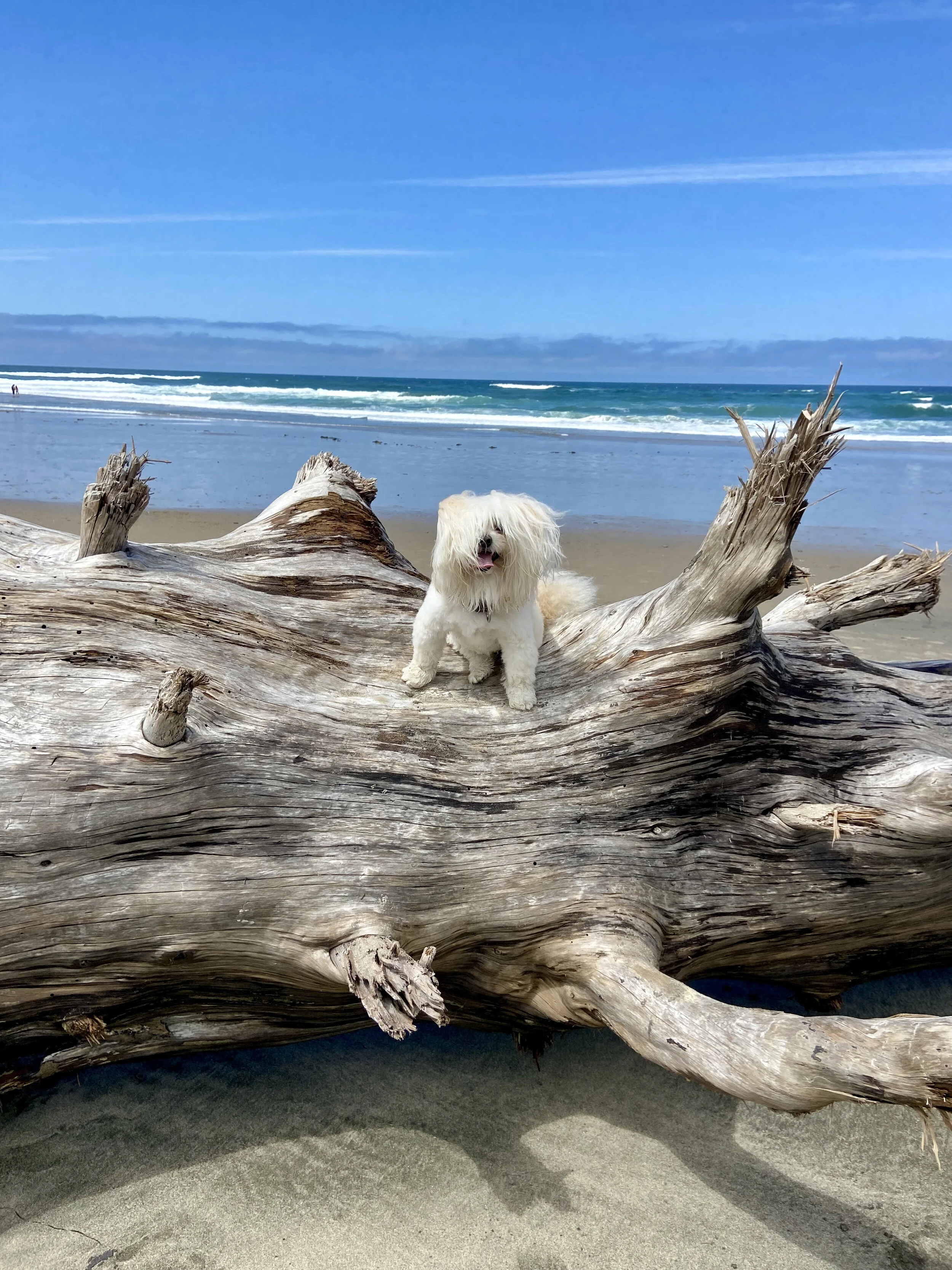 Roads End State Recreation Site