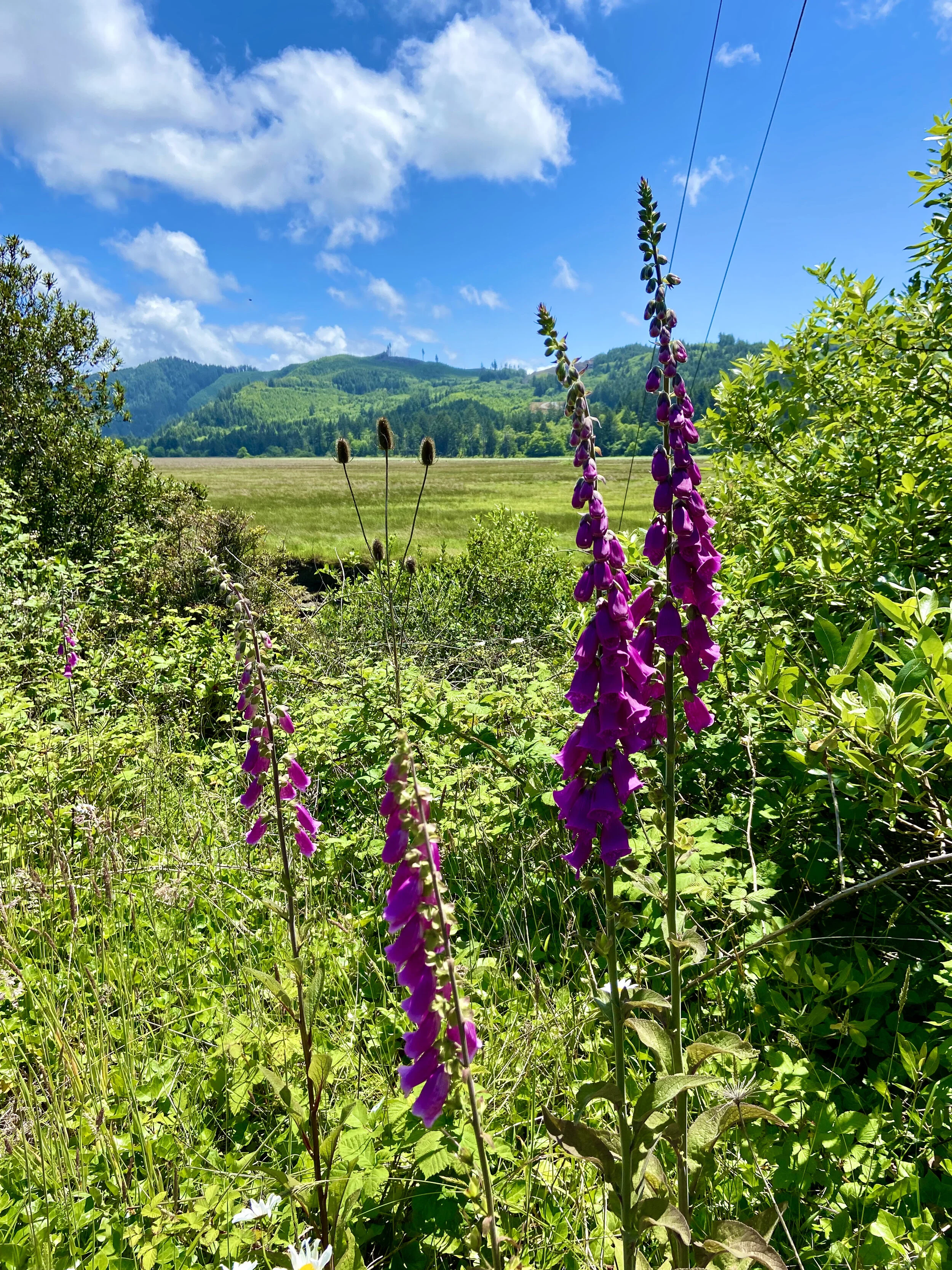 Siletz Bay National Wildlife Refuge