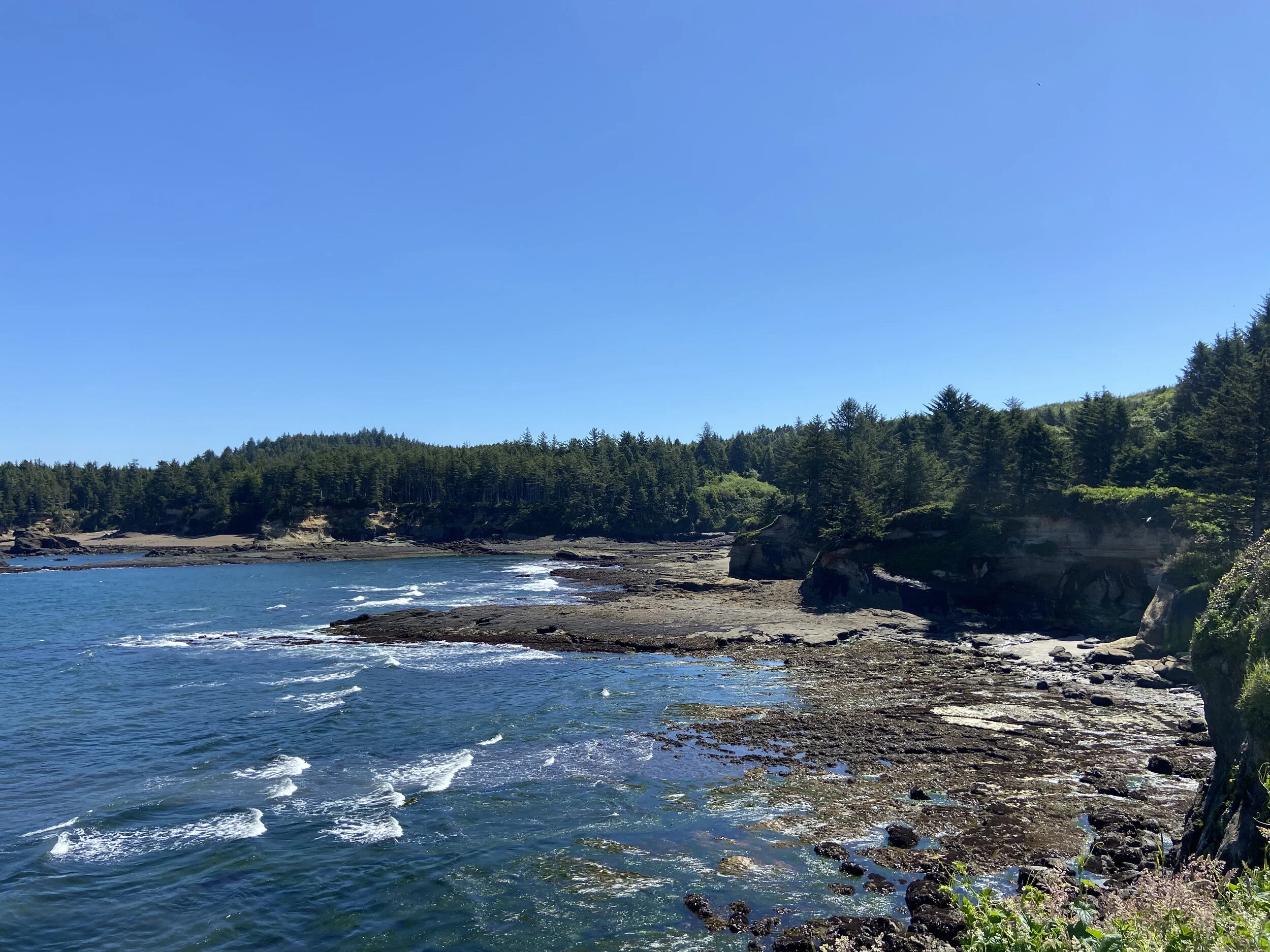 Boiler Bay State Scenic Viewpoint