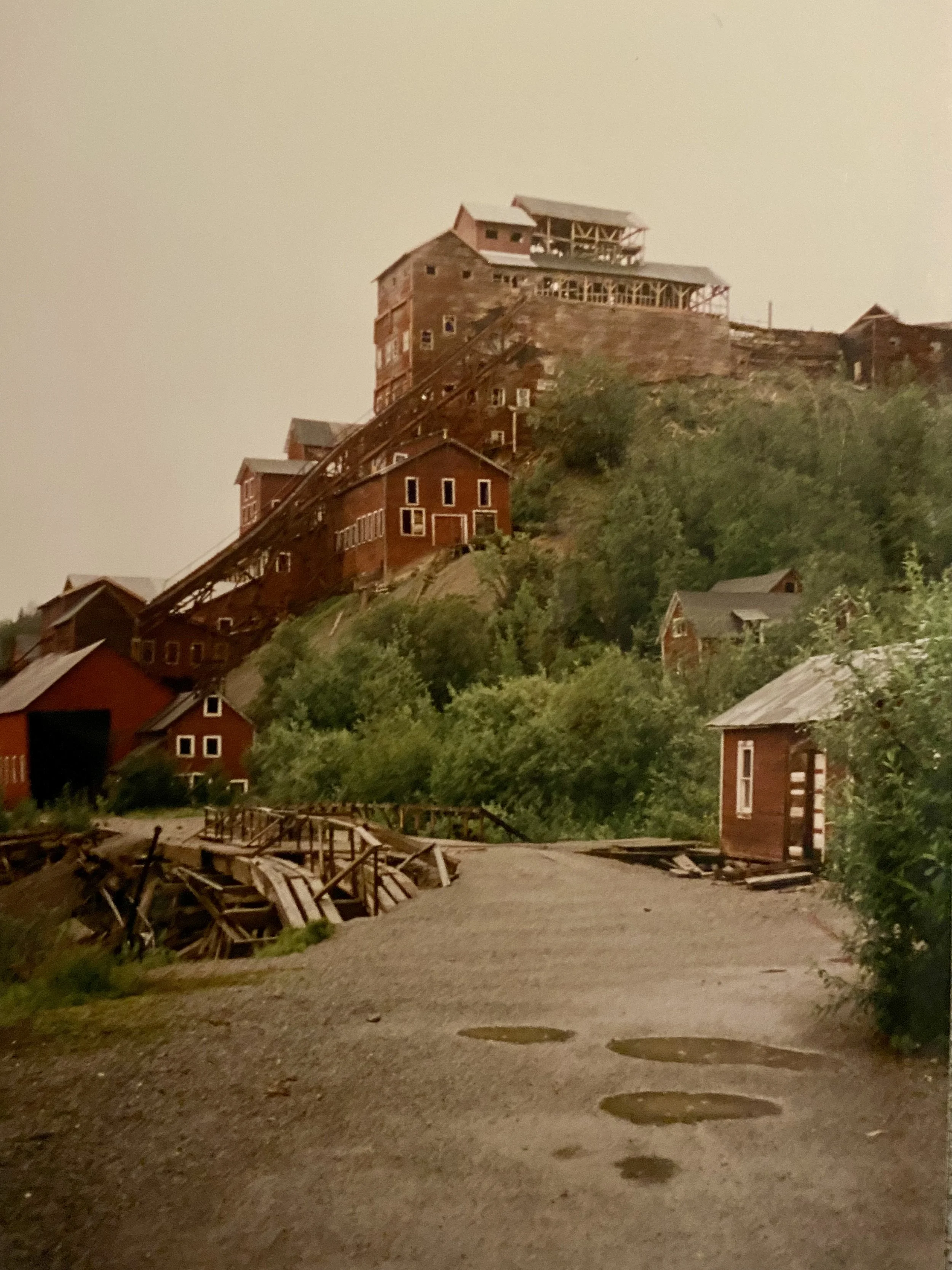 Wrangell-St. Elias National Park &amp; Preserve