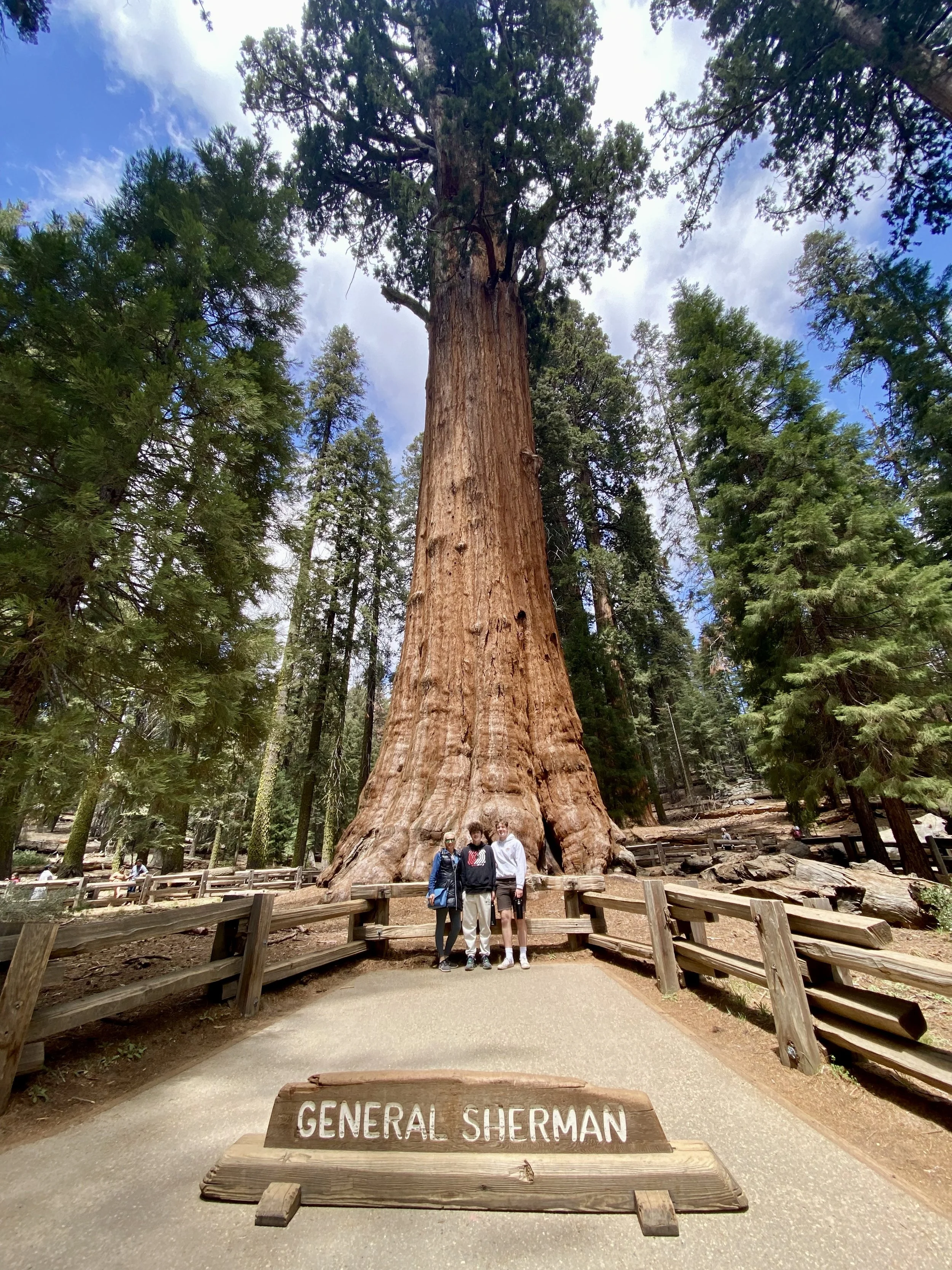 Sequoia National Park