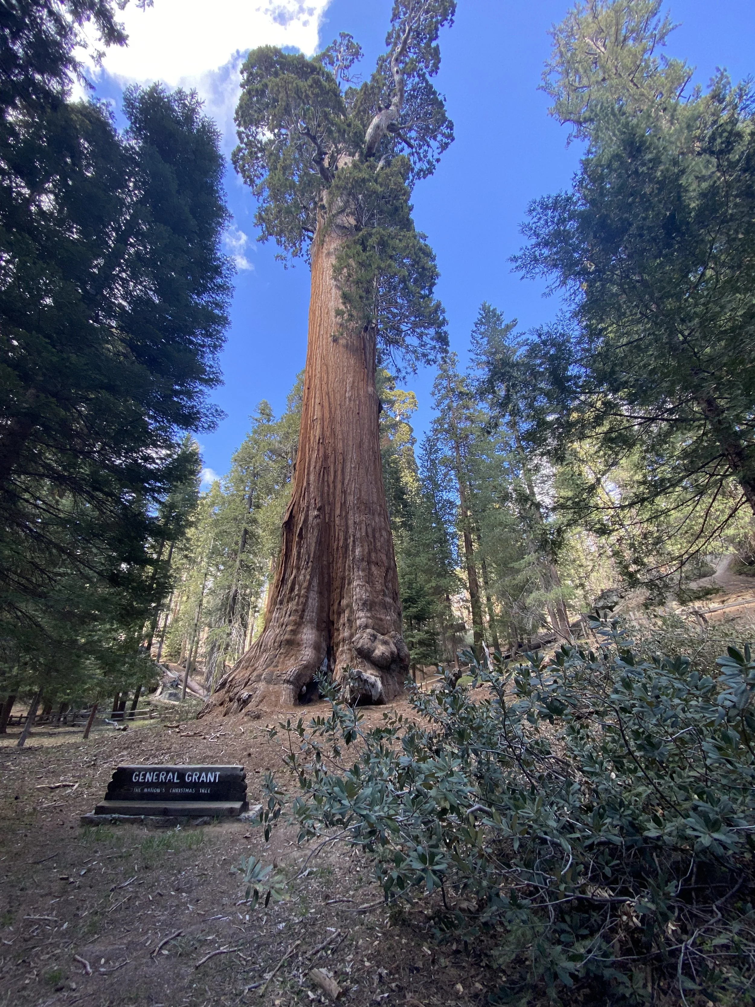 Kings Canyon National Park