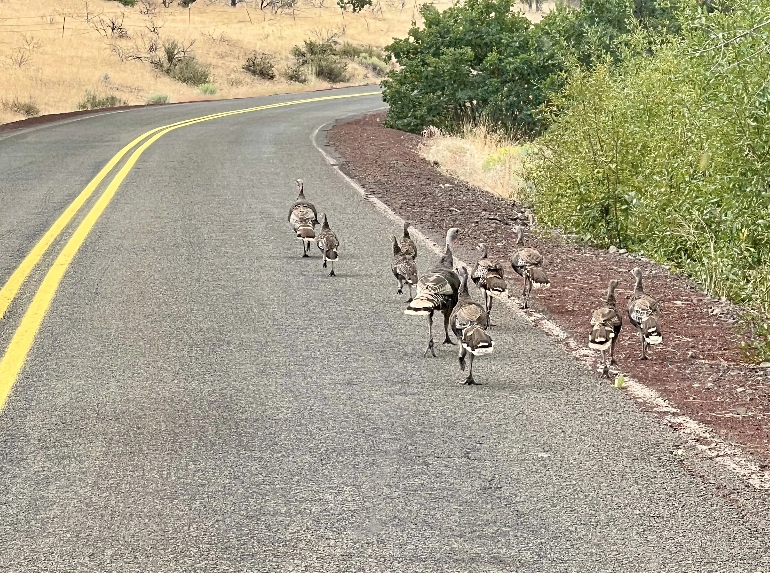 Warm Springs Reservation
