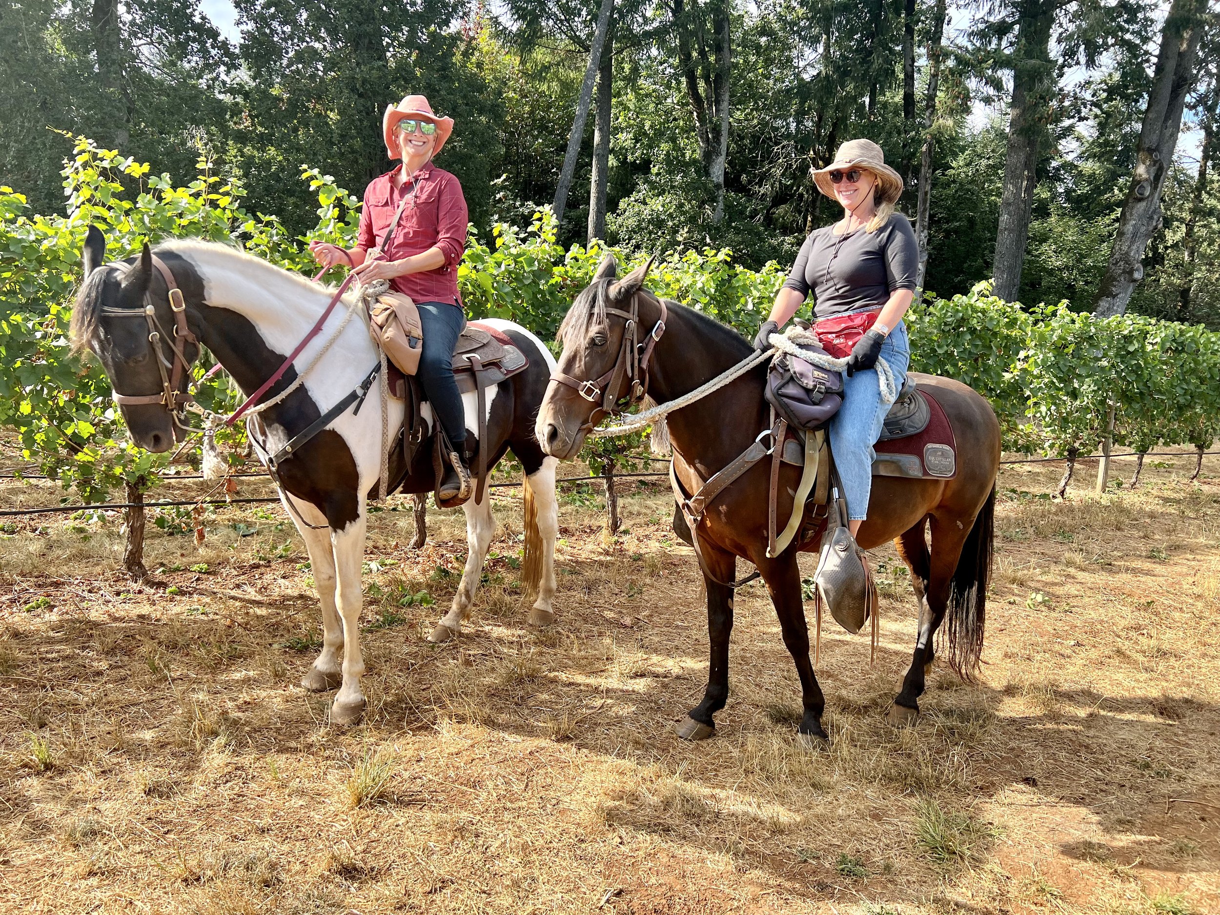 Equestrian Wine Tours in Carlton, Oregon
