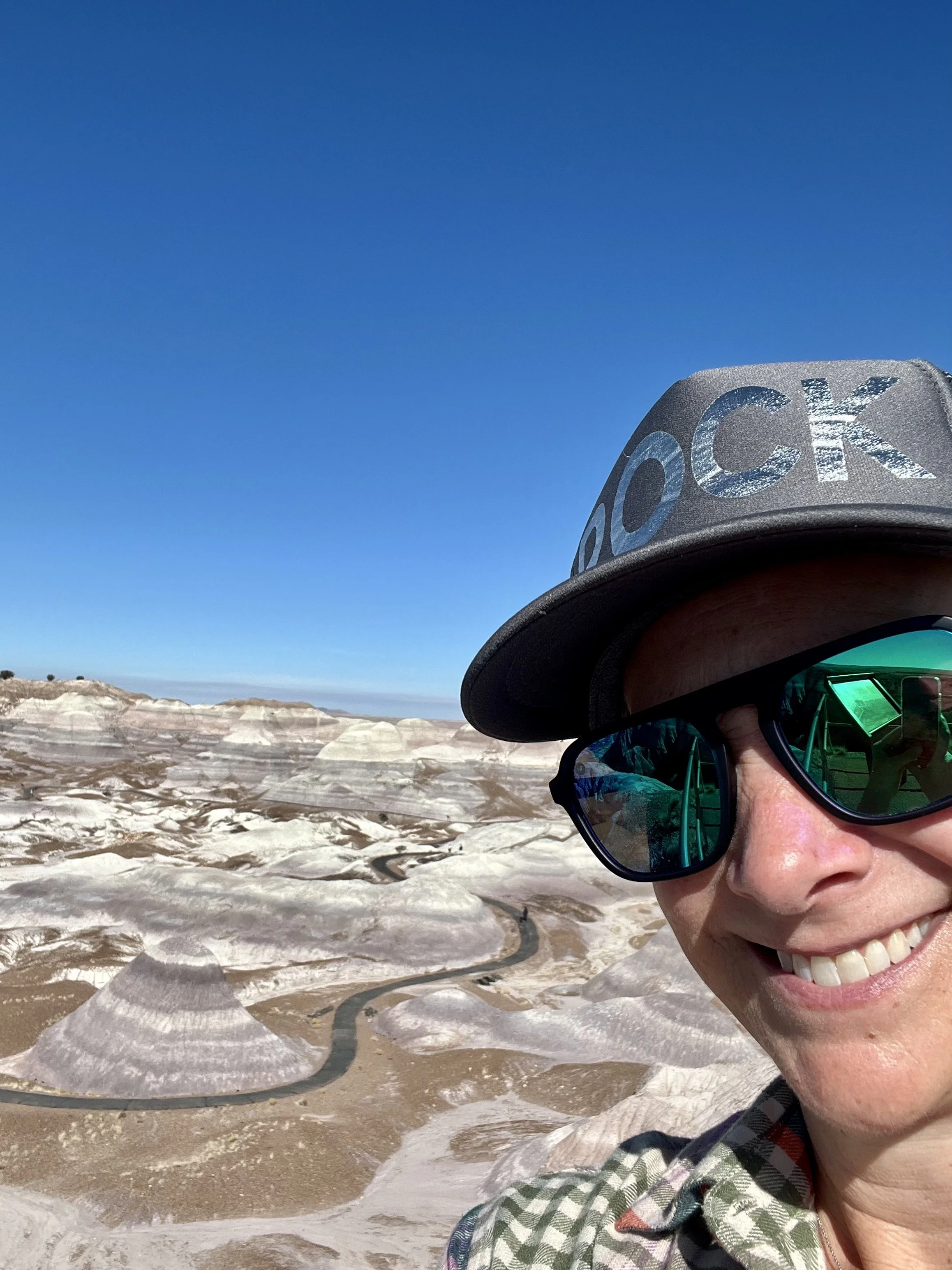 Petrified Forest National Park