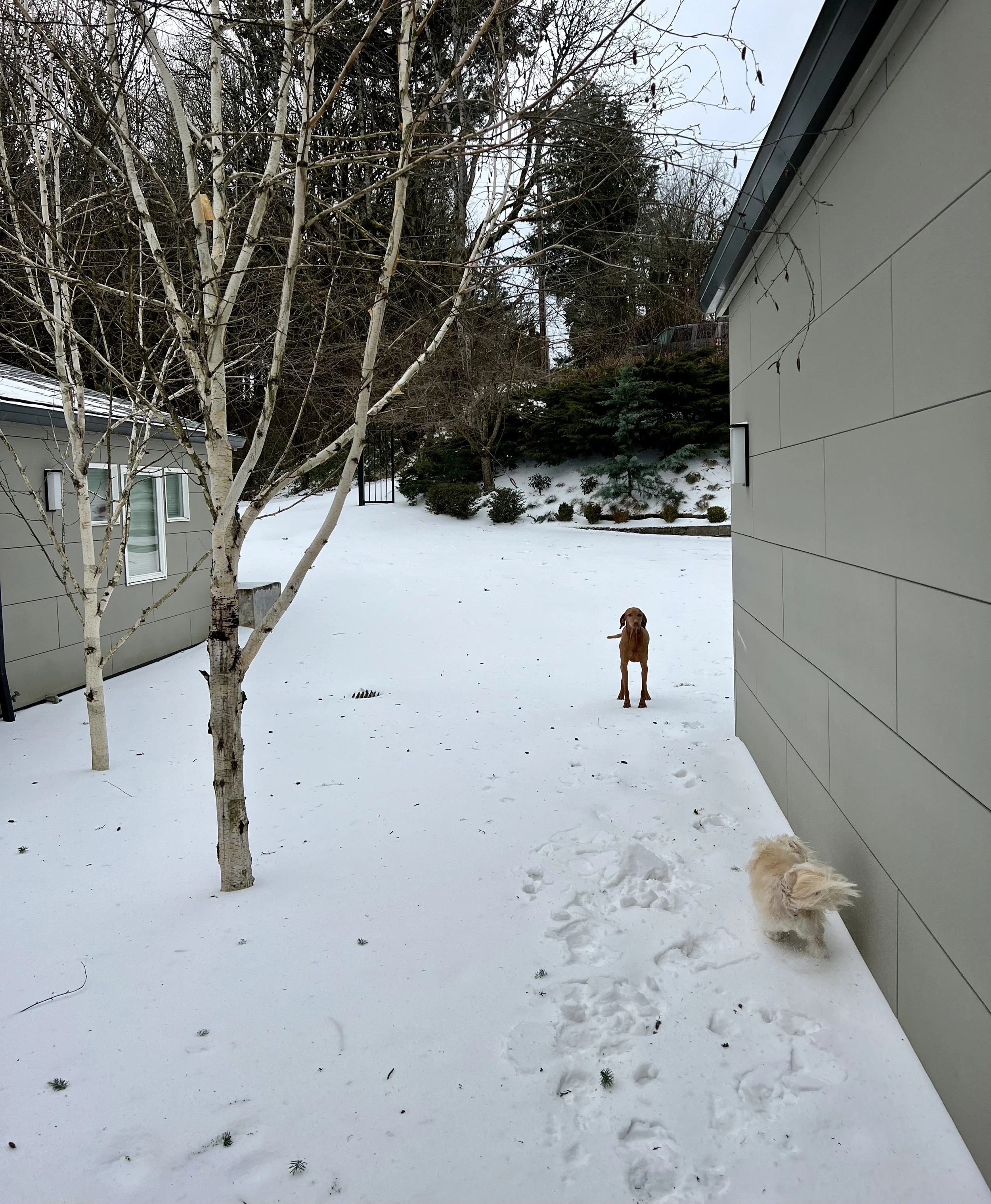 January 2024 &amp; New Year's Resolutions