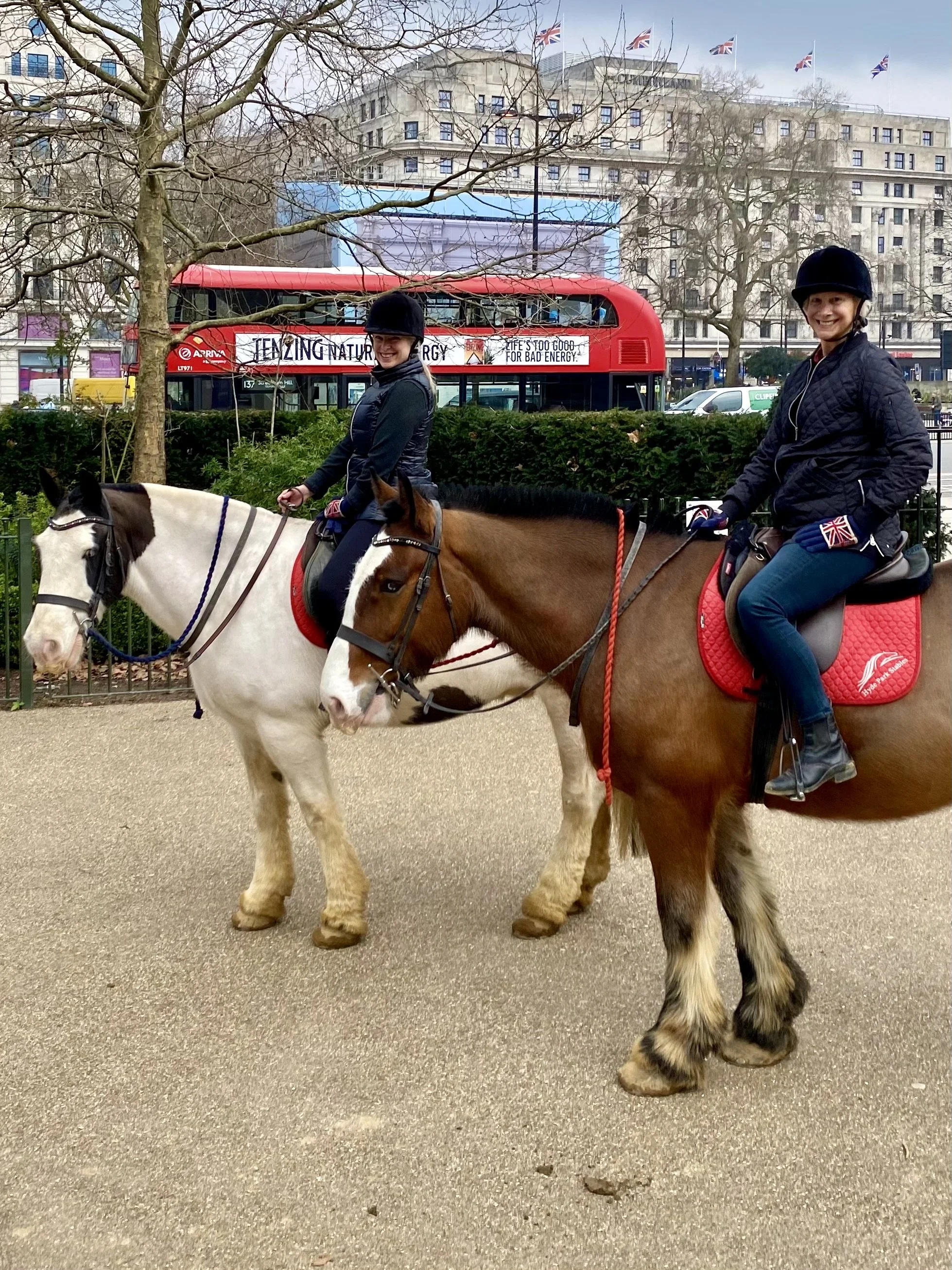 Hyde Park Stables on Irish Cobs