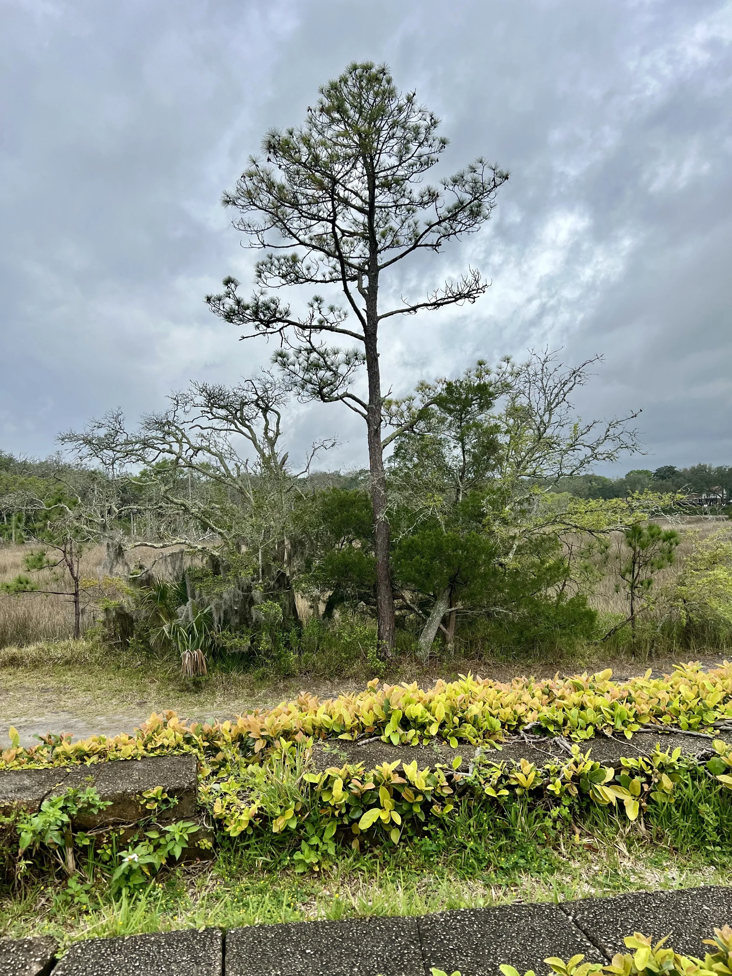 Timucuan Ecological &amp; Historical Preserve