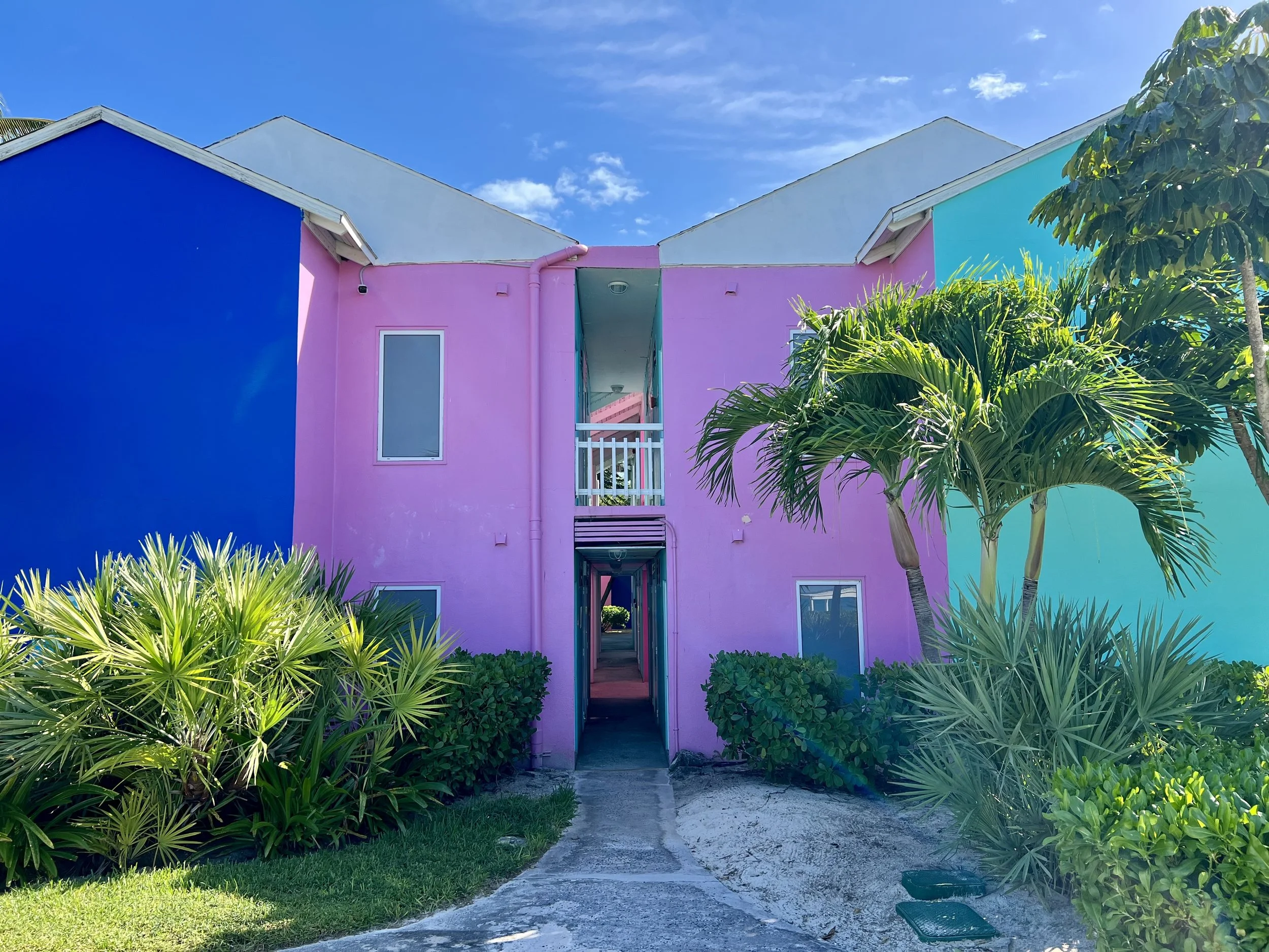 Thank You 2024 + HNY 2025!