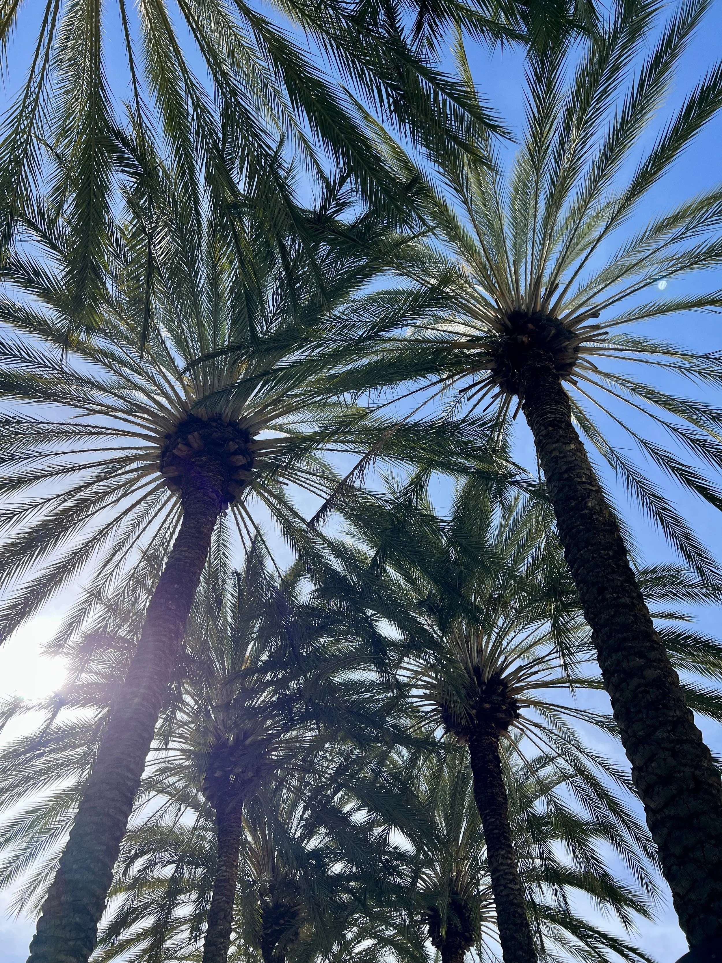 Spring Break 2025 in SoCal