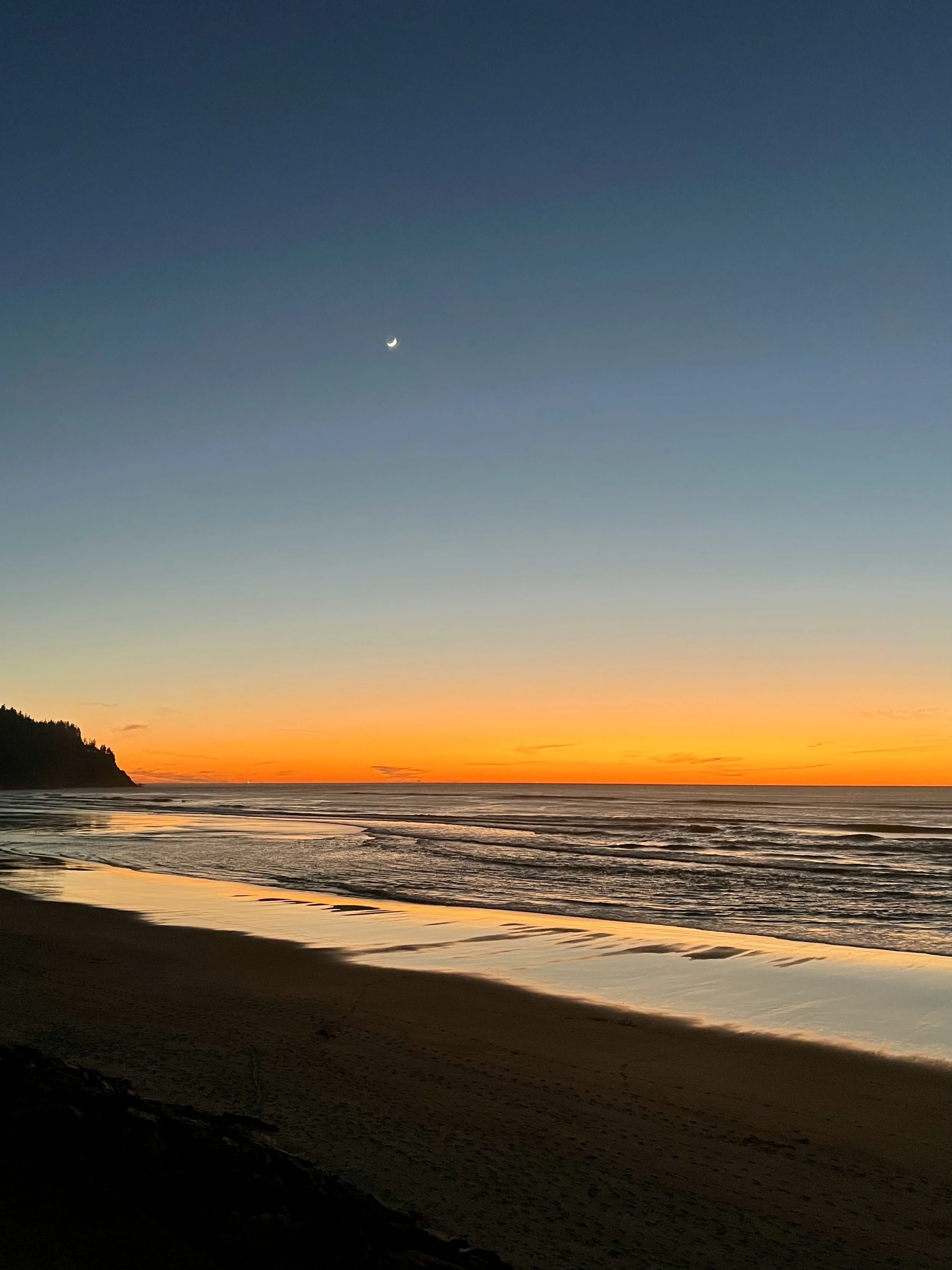 January 2026 + There is No Place I'd Rather Be