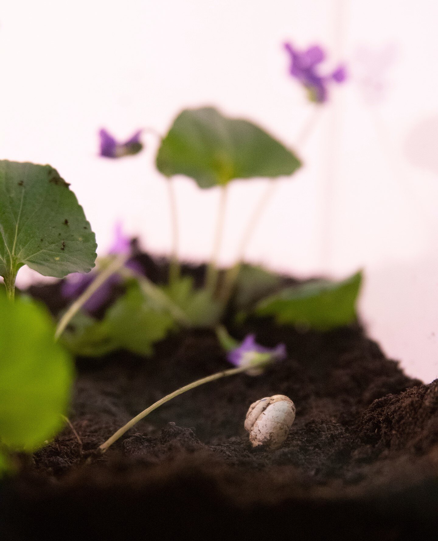 Happy long weekend,⁠
Hope everyone is enjoying a slower-paced day.⁠
Come visit and commune with the snails! ⁠
We&rsquo;re open until 5pm today.⁠
⁠
Featuring work by Aleyna Weitzner @aleynaweitzner⁠
⁠
PC: Emma Comrie @emma_comrie⁠
⁠
⁠