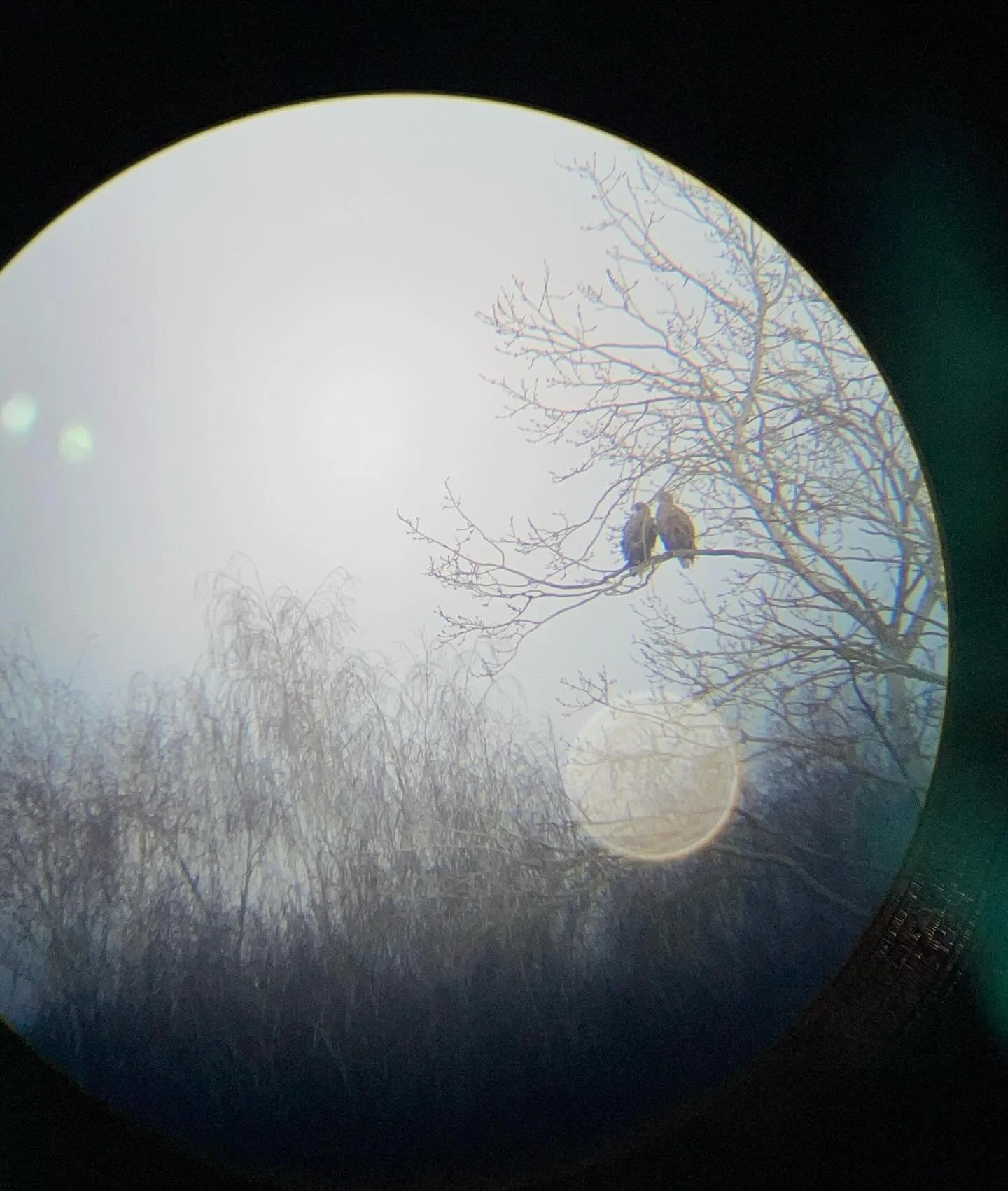 I’ve arrived back to Arizona following my Fulbright experience in Poland. I finally have time to sift through all the photos, memories, and appreciate how meaningful this year was to me, as an artist and a human. I’ve met so many amazing