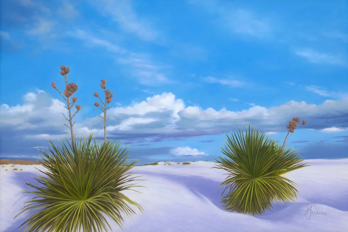 Provenza_WhiteSands_24x36_web.jpg