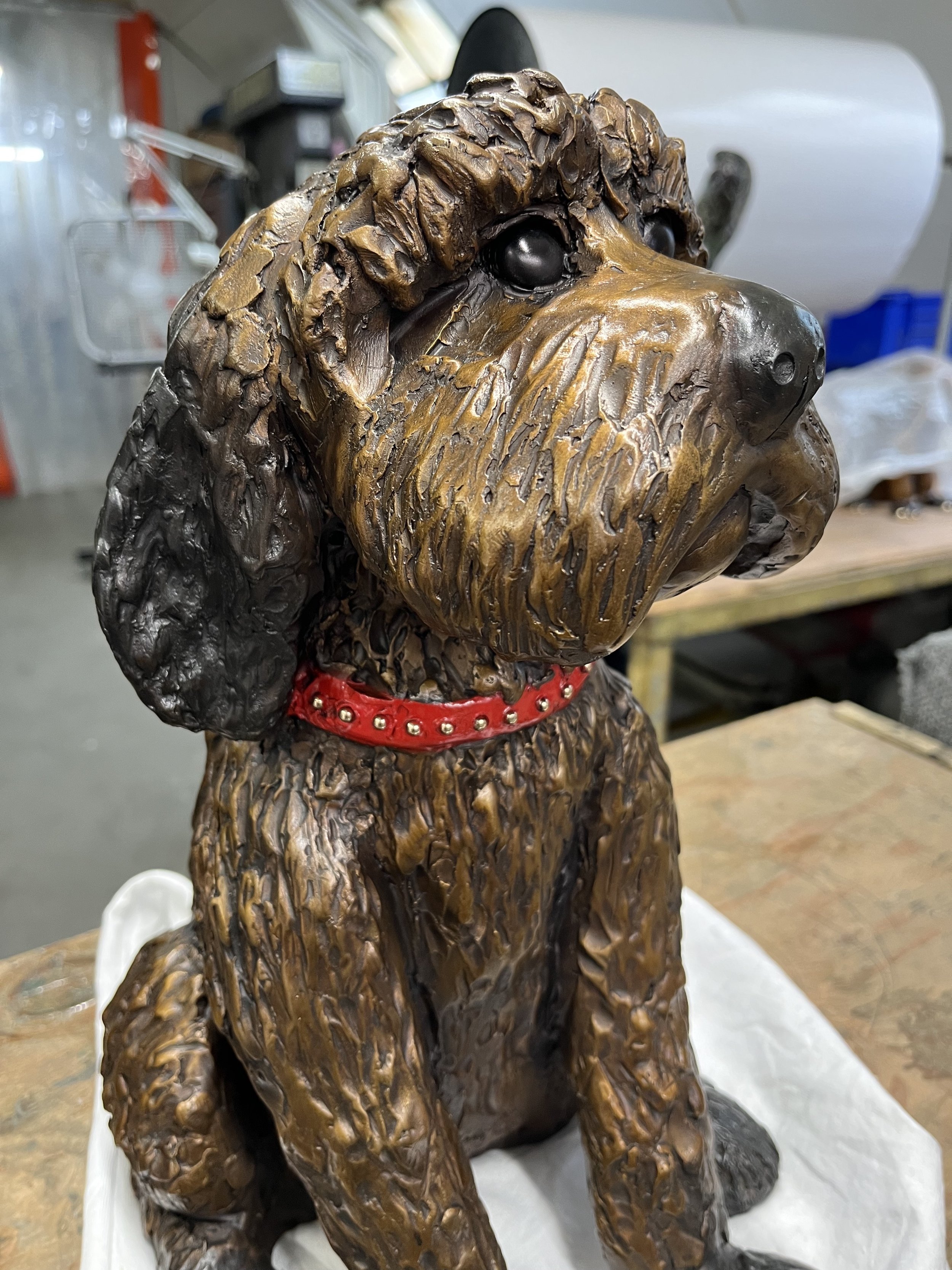 HENRY AP Red Collar .jpg