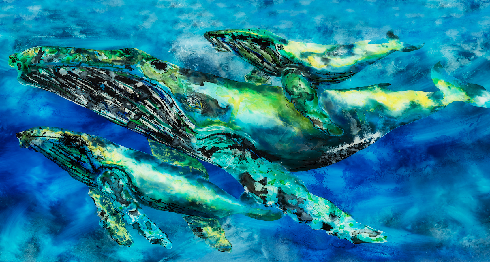 #65 screen shot .png