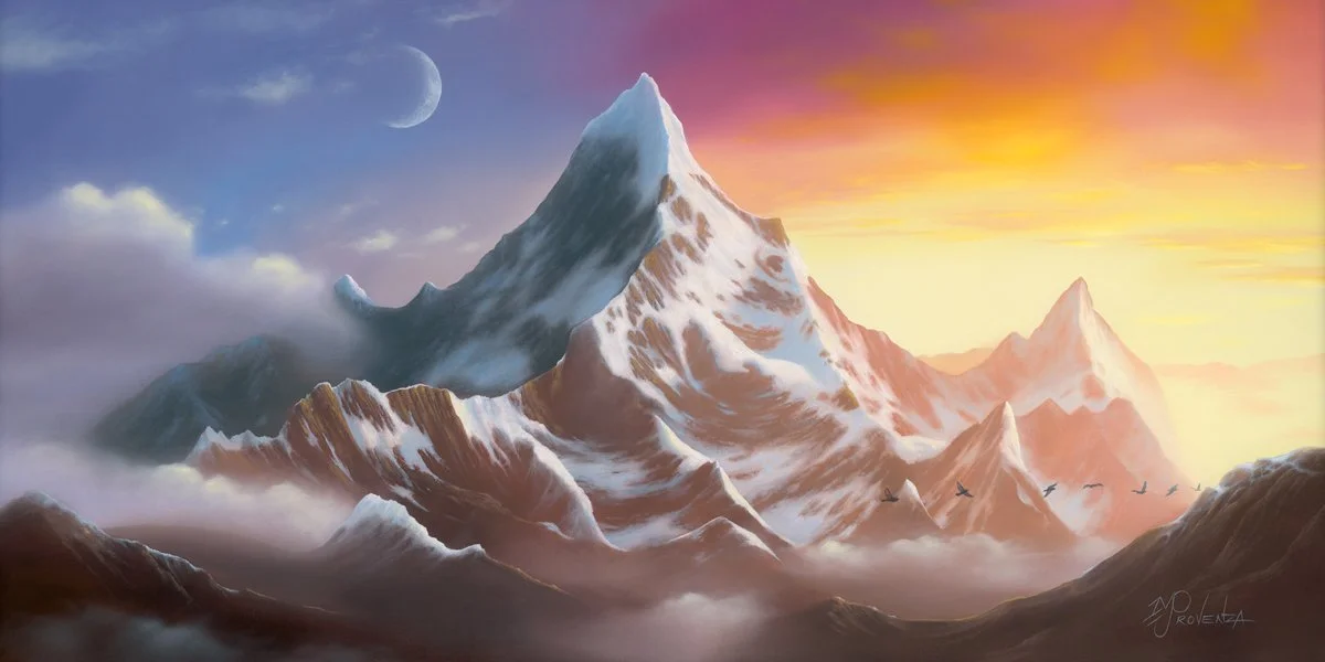 Provenza_Elevation_20x40_web.jpg