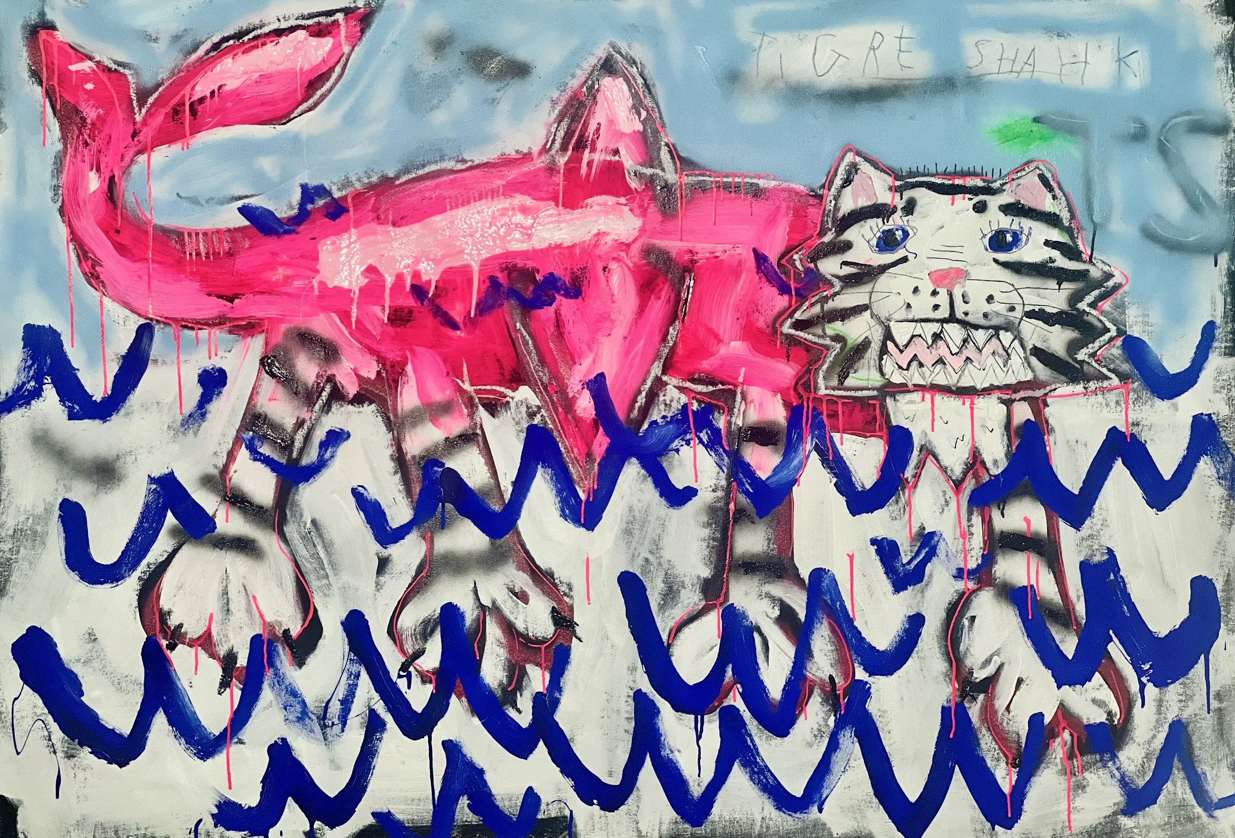 Tigre Shark